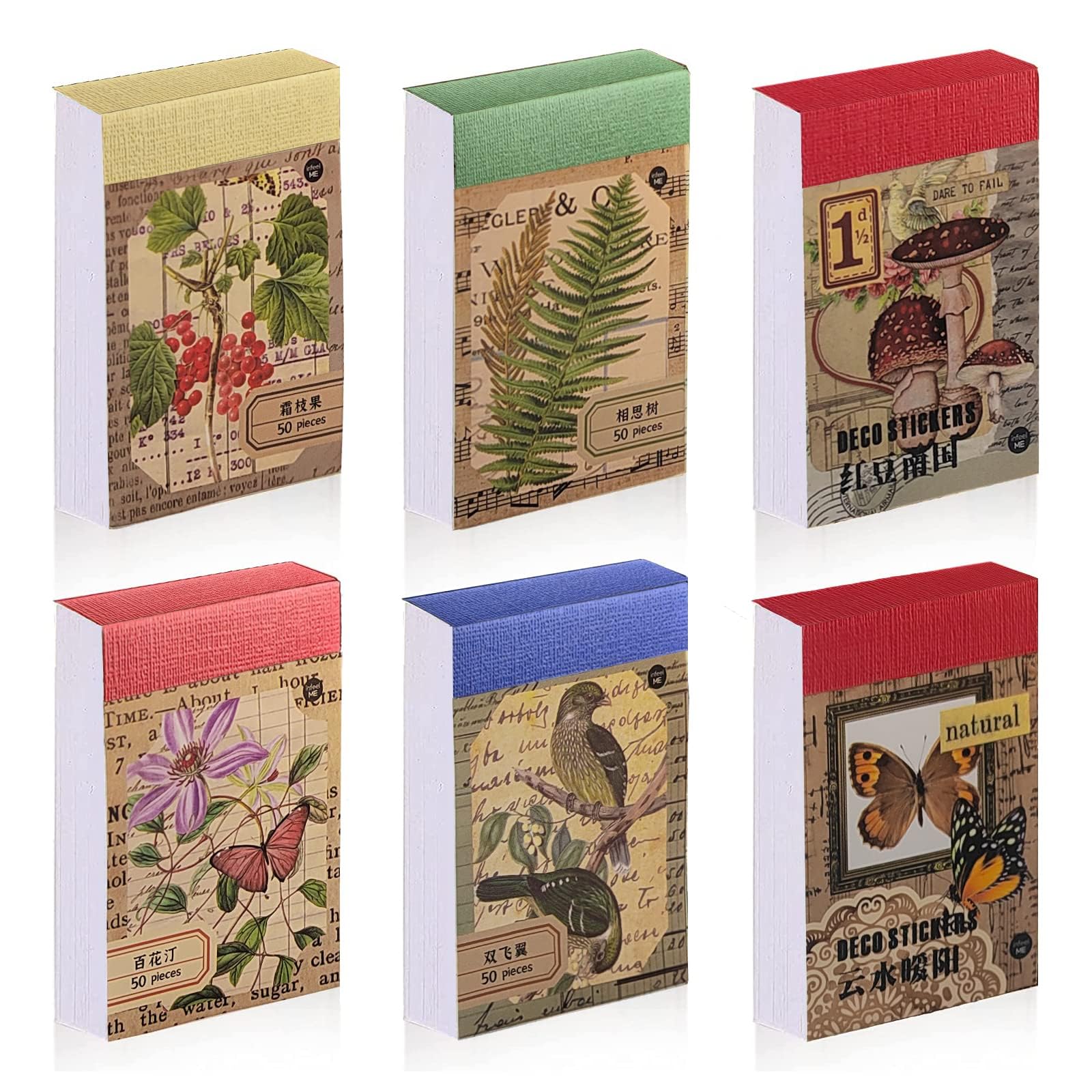 Vintage Botanical Stickers for Scrapbooking - 300 Pcs Washi Sticker Set, 6 Themes of Nature, Flora & Fauna Decorative Decals for Journaling, Planners, DIY Arts & Crafts (Vintage Nature)