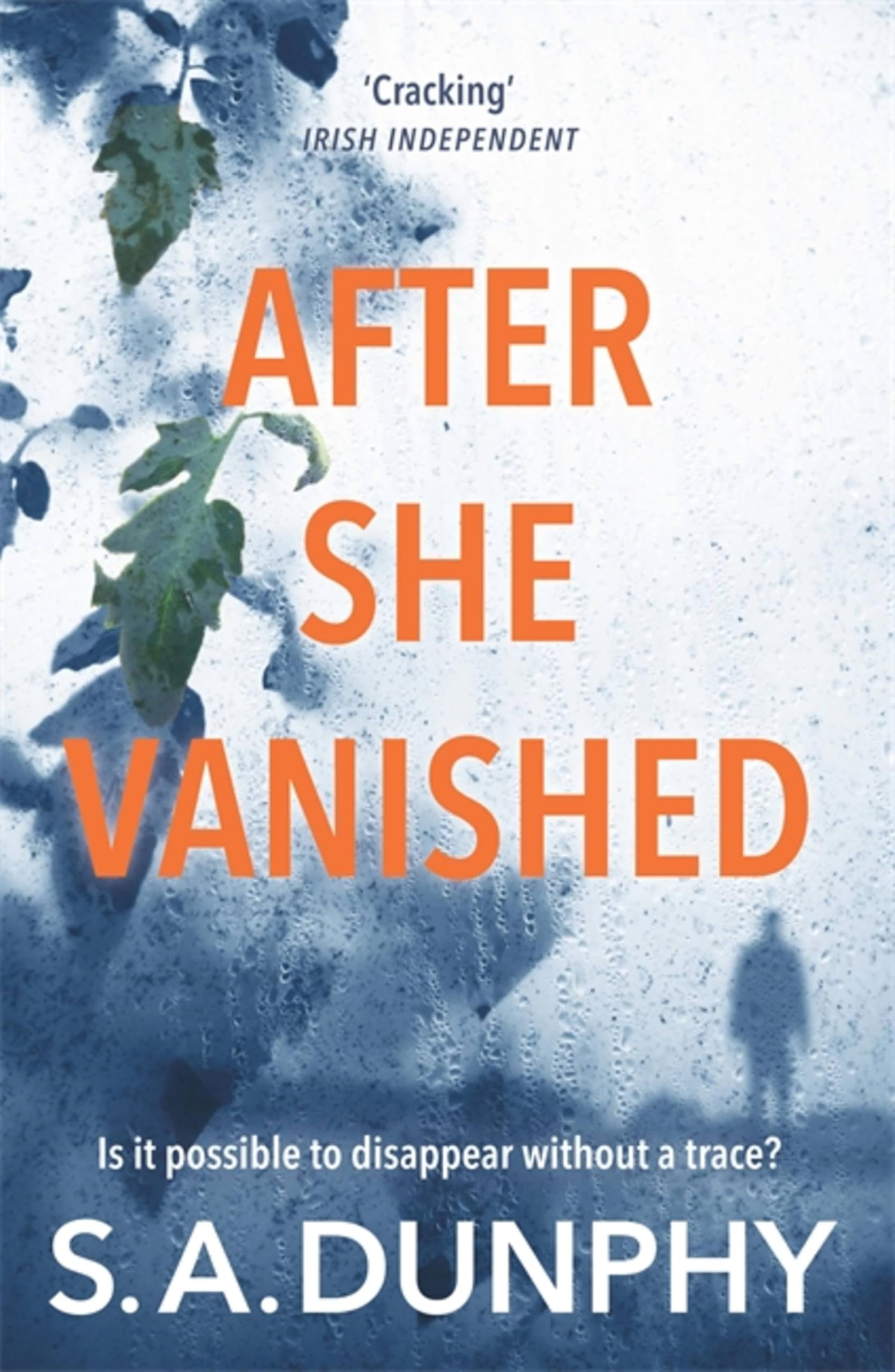 S.A. Dunphy: After She Vanished (David Dunnigan) [2018] paperback