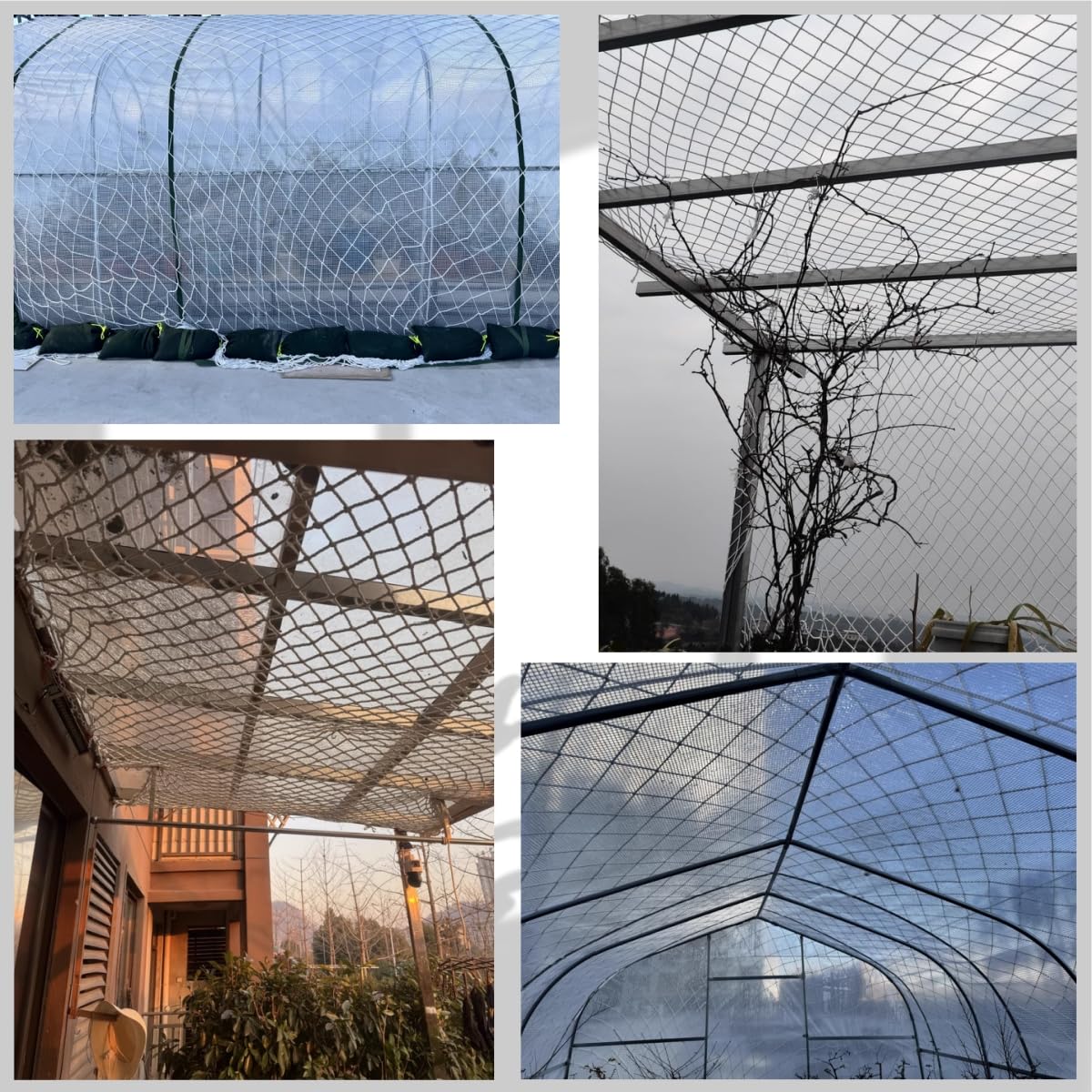 Baustellen-Sicherheitsnetz|Höhenschutznetz | Balkon-Katzenschutznetz | Vielseitiges Schutznetz für Tourismusgebiete/Gewächshäuser (MaWe 100mm | Seil-Ø 8mm,2m*10m)
