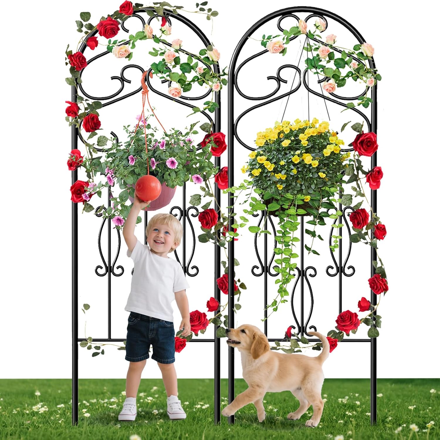 2 Pack 60" x 18" Metal Garden Trellis for Climbing Plants