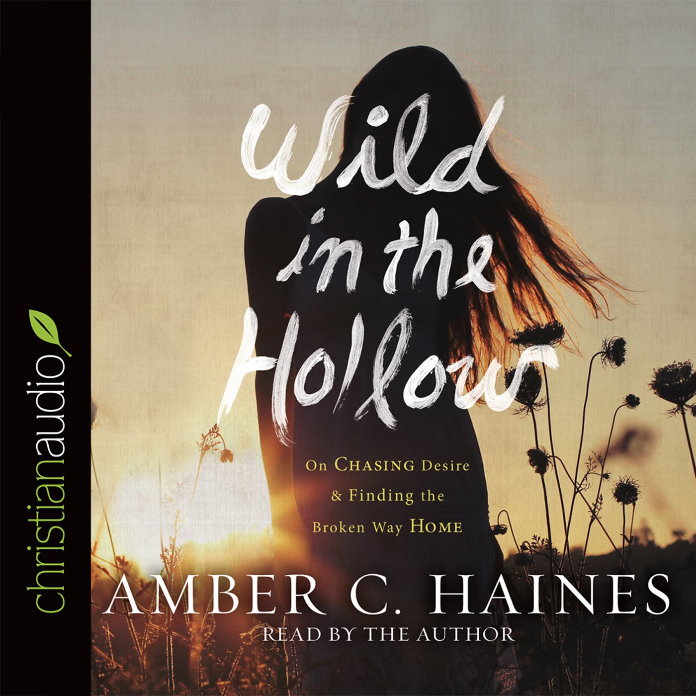 Cover art for Wild in the Hollow