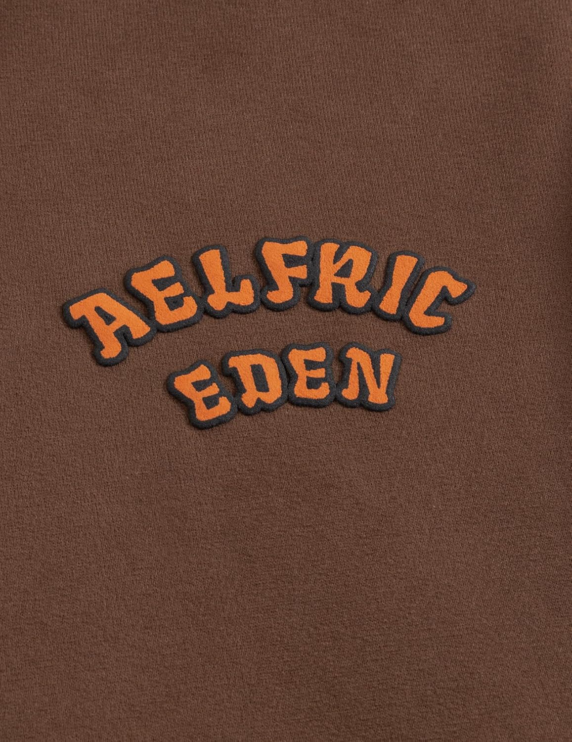 Aelfric Eden Boxy Dachshund Graphic Hoodie Fleece Lined Pullover Unisex Casual Streetwear Sweatshirt