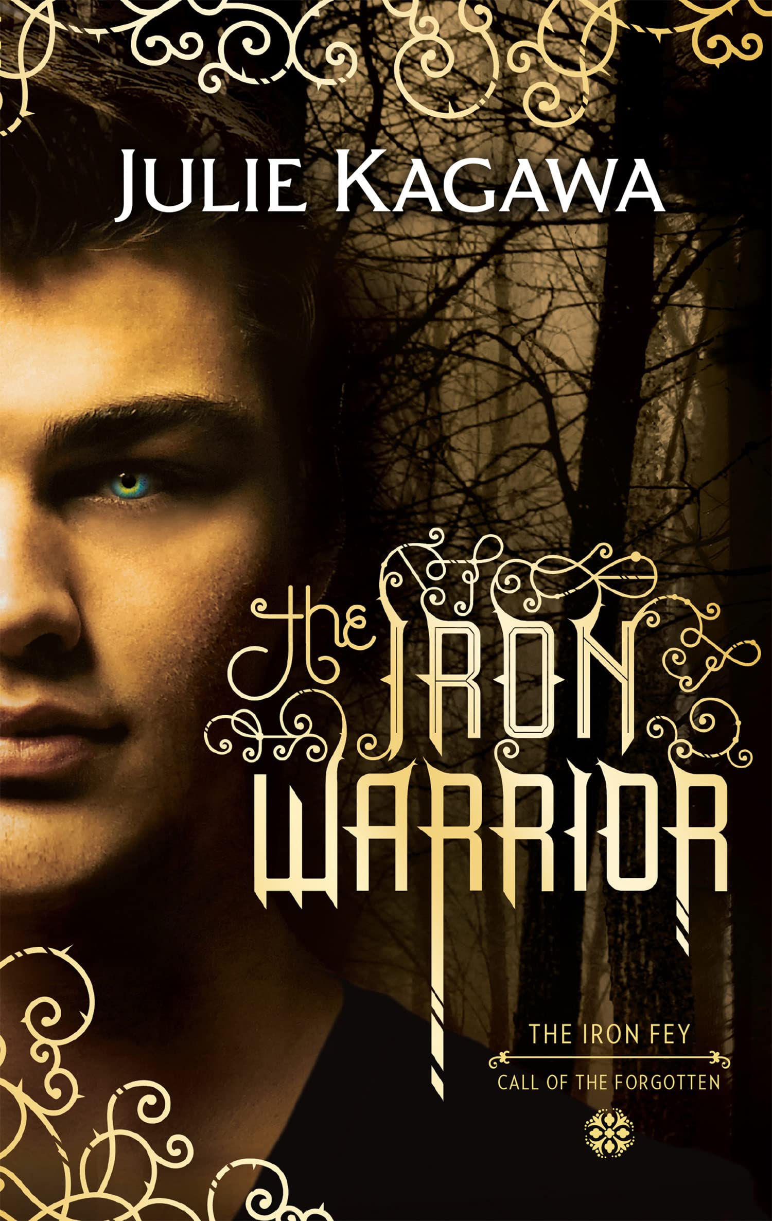 The Iron Warrior by Julie Kagawa PAPERBACK 9781848454088