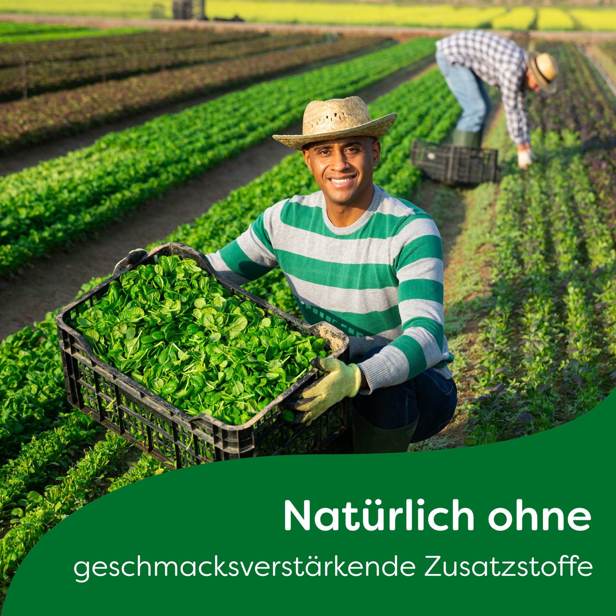 Knorr Feinschmecker Curry Sauce ohne geschmacksverstärkende Zusatzstoffe und Farbstoffe 19x 250 ml
