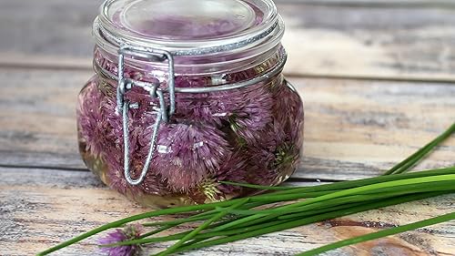 Miniatura 5 de Gaea's Blessing Semillas de cebollino (1000 semillas) Semillas sin OMG con instrucciones de plantación fáciles de seguir - Heirloom de polinización