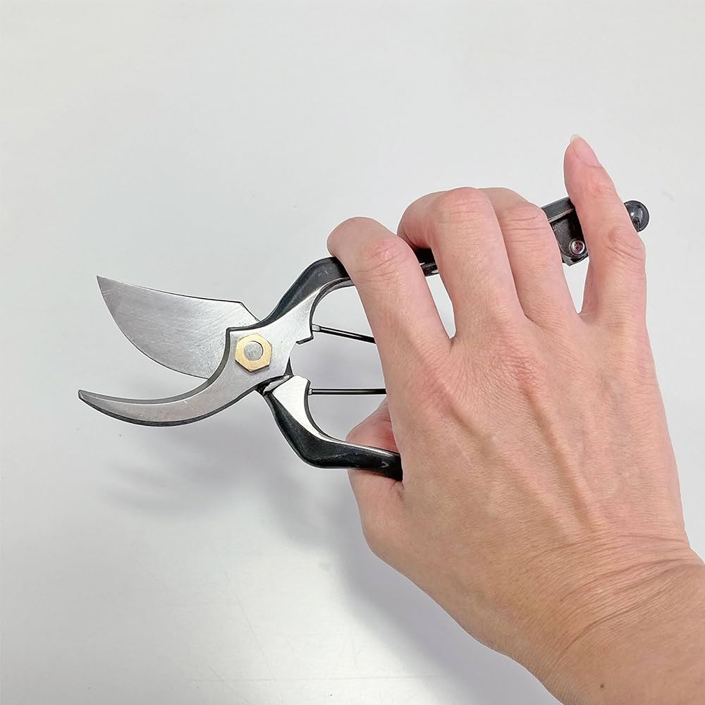 国之長B型剪定鋏 225(金止) 3644 2mvetro Amazon.co.jp: 国之 Length B Type Pruning Scissor 225 (Gold