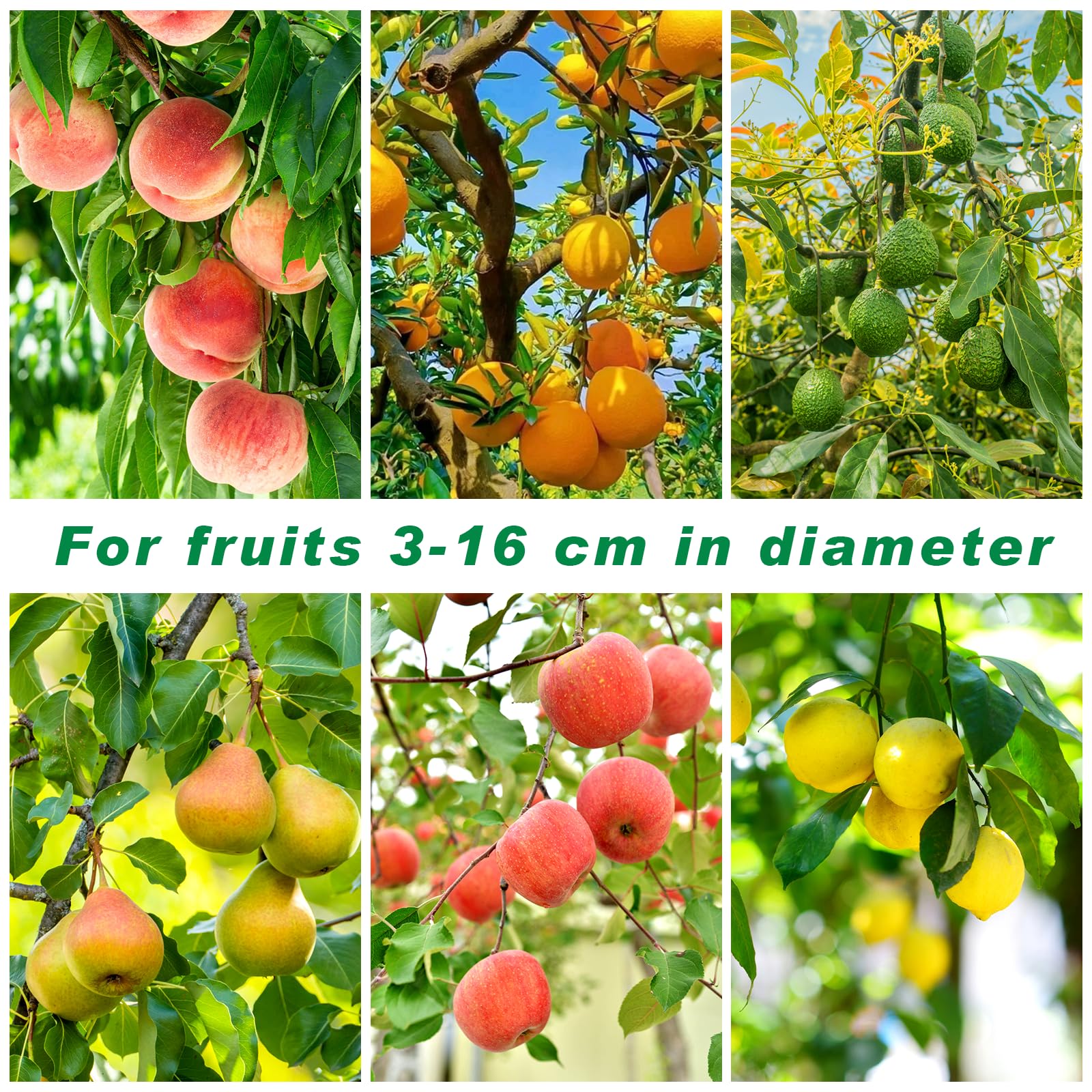 Draupnir 3,5m Cueille Fruit Telescopique, Cueille Pommes, Ramasse Fruits, Cueille Poires Cerise, Acier Inoxydable, Outil Cueilleur de Fruits avec Sac Coton Ø 16 cm