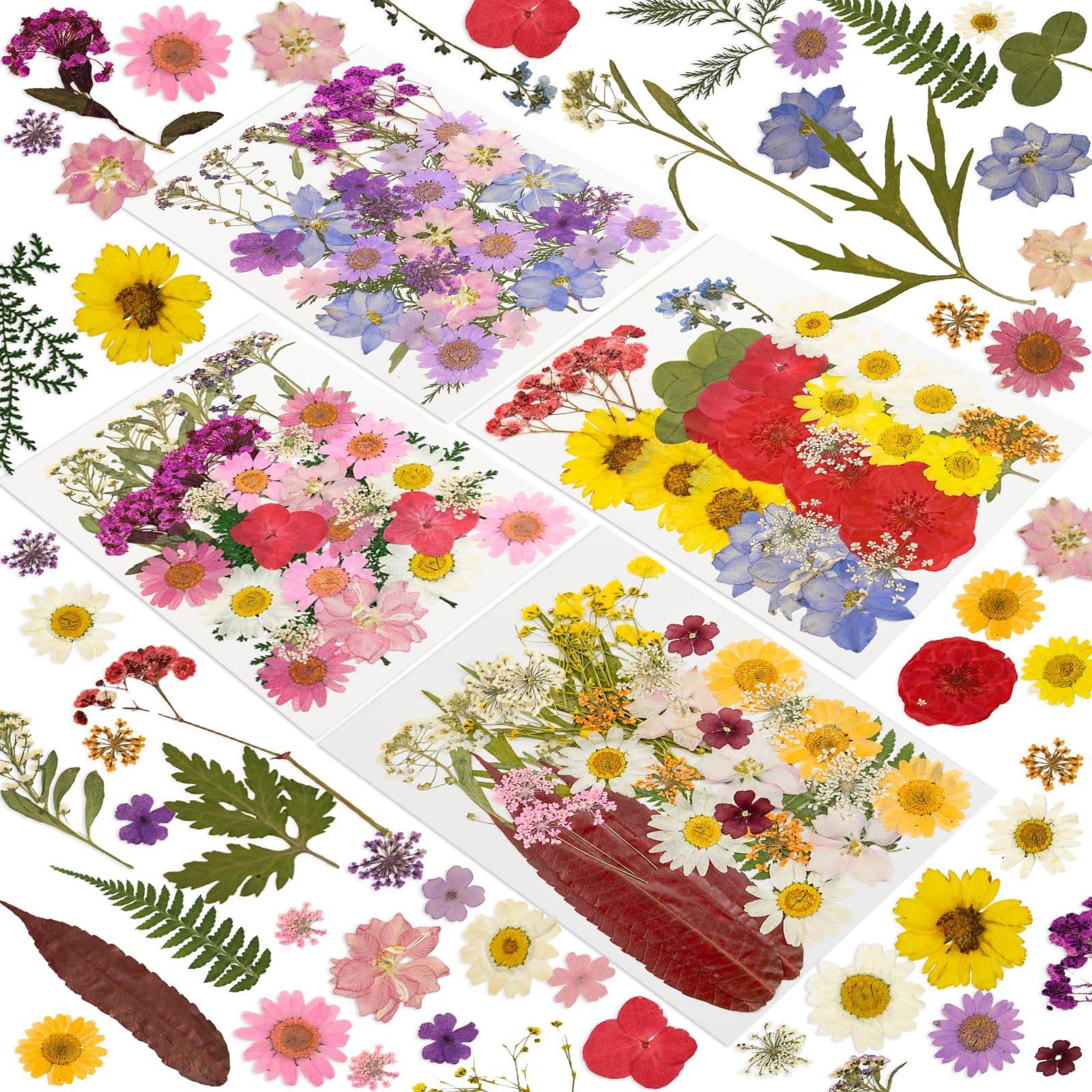240 Pcs Dried Pressed Flowers for Resin Crafts, Real Natural Pressed Flowers and Leaves, Vacuum Sealed Dry Flowers for Epoxy Resin Jewelry Making, Candle & Soap Making, Nail Art (Brilliant)