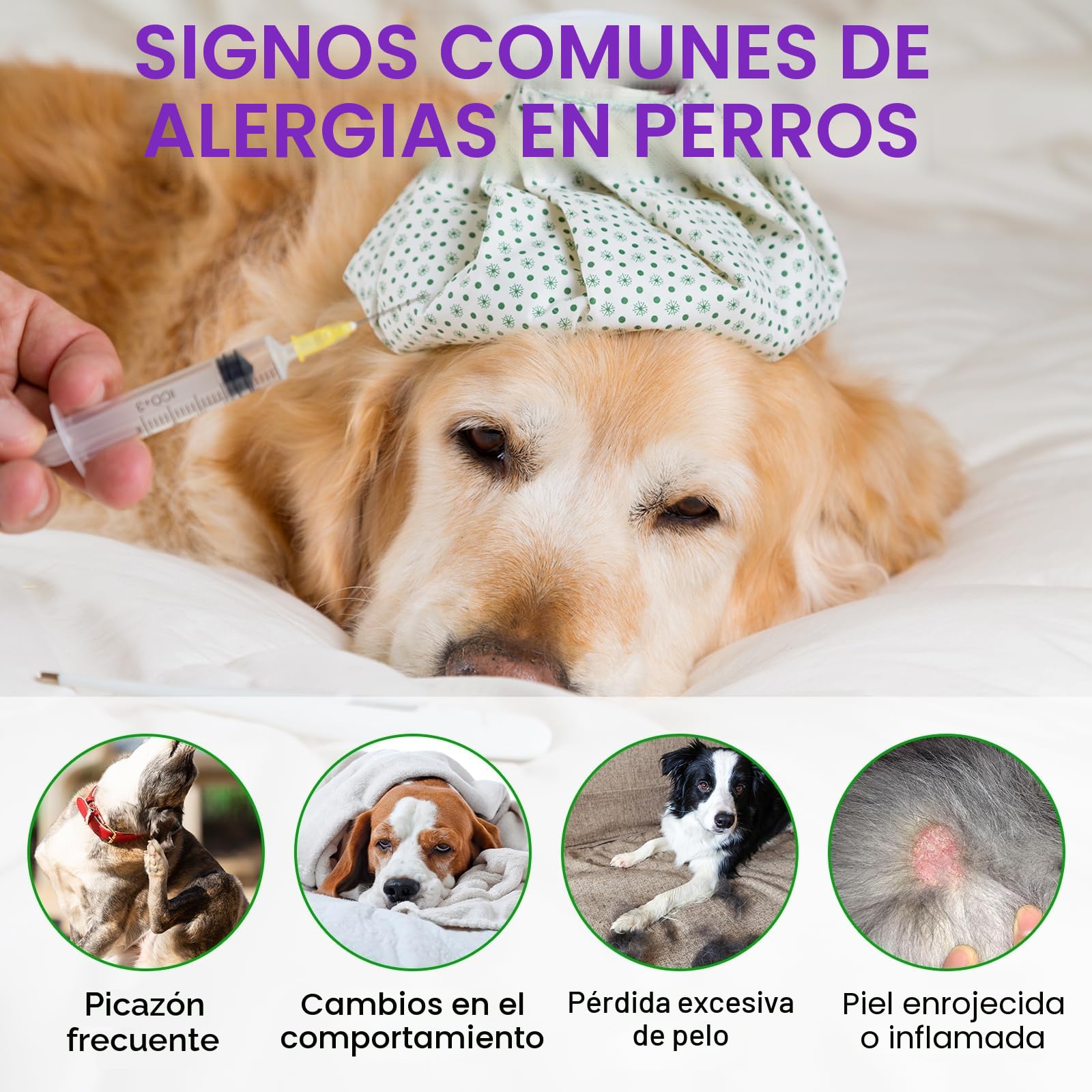 Alivio de la Alergia del Perro, Dog Allergy Relief Treats, Snacks Antialérgicos para Perros, Alivia la Picazón, el lamido, el Rascado y la Depilación, Refuerza la Inmunidad, Alergia e Inmunidad Perros