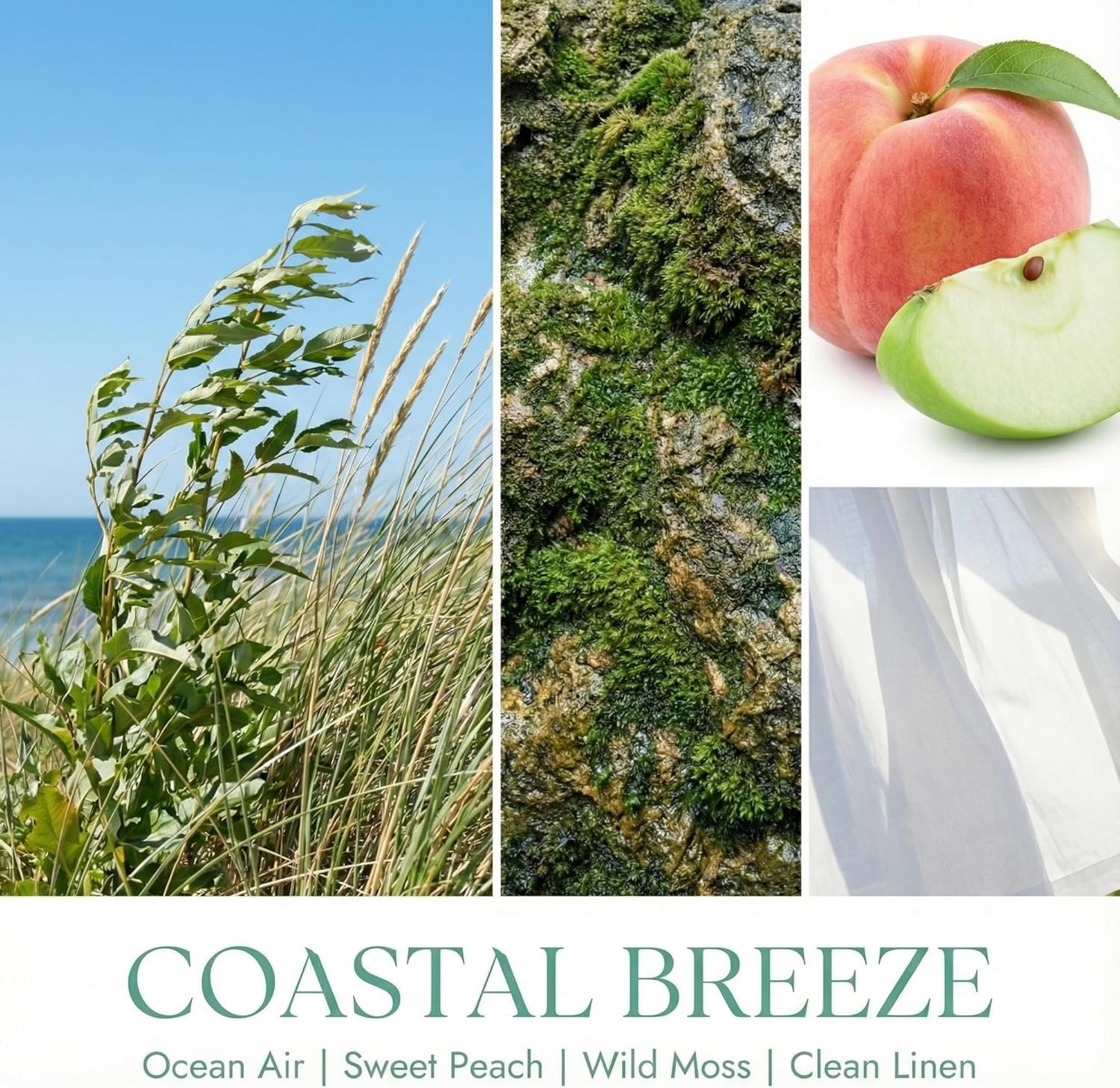 HomeLights Scented Candles | Large Jar 34 Oz Natural Soy Candle | 130 hrs Long-Lasting with 3 Wicks | Scandinavian Minimalist Home Decor | Gifts for Mom & Women, Coastal Breeze - Image 3