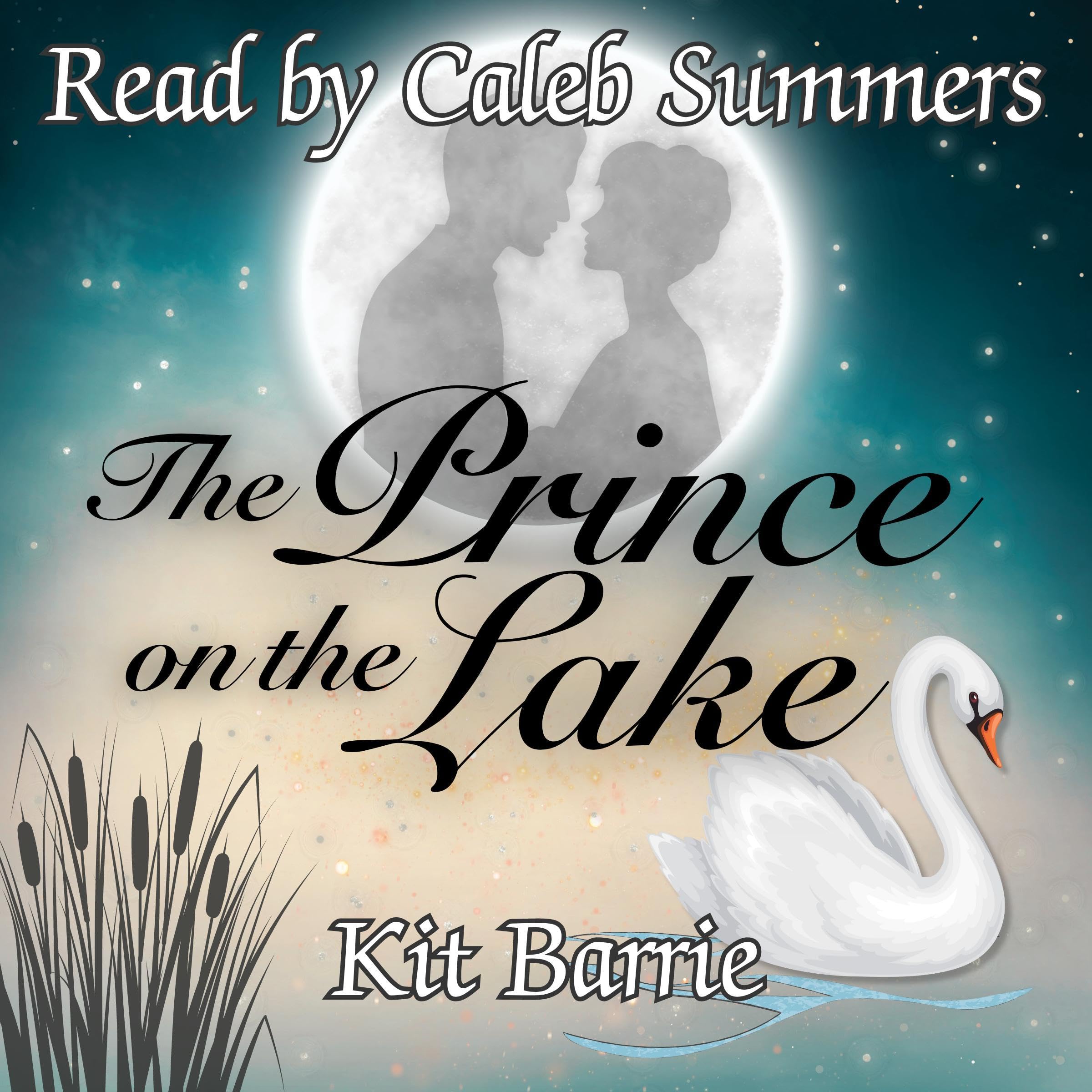 Cover art for The Prince on the Lake