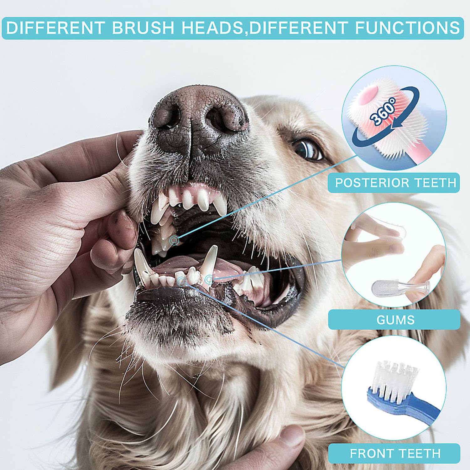 Dog Toothbrush, 360 Degree Finger Toothbrushes, Triple Head Toothbrushes, Double Head Toothbrush,Cleaning Brushes for Dog Cat Oral Dental Health (Blue, L) - image 3
