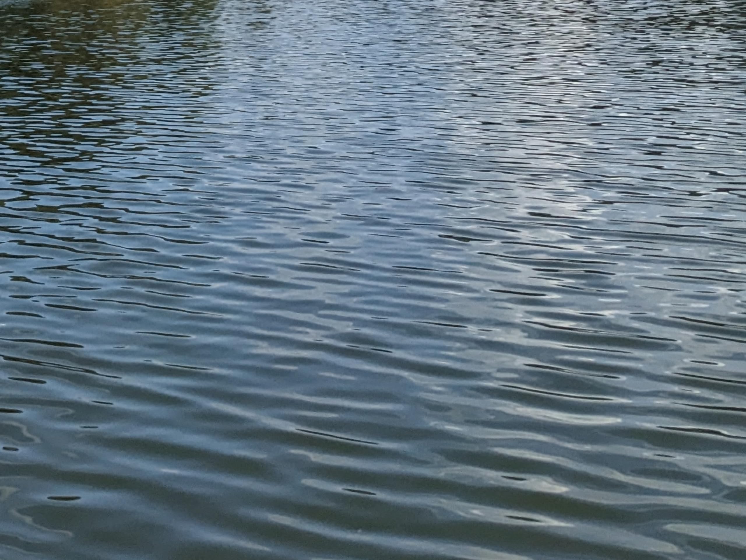 Mother Nature Earth Mind