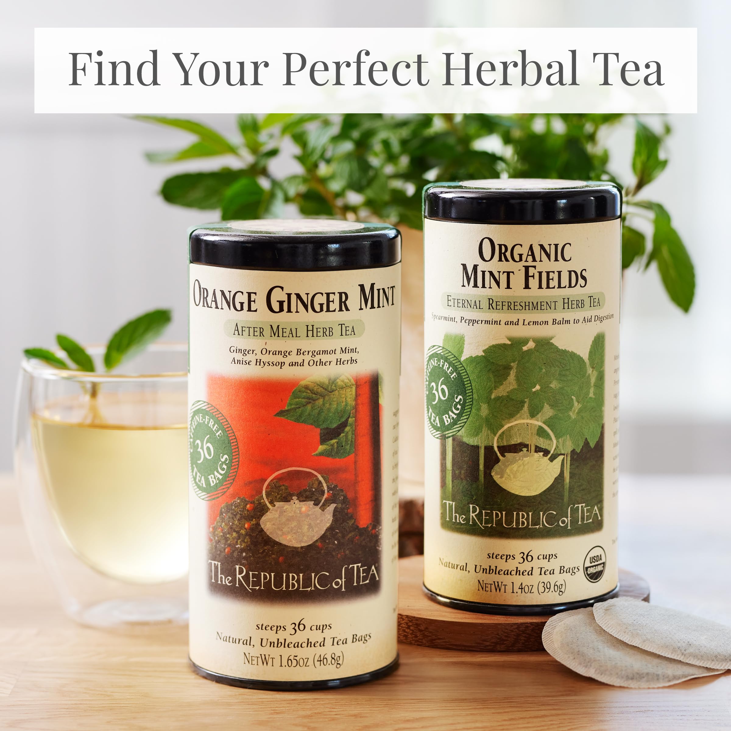 Amazon.com : The Republic of Tea – Organic Mint Fields Herbal Tea