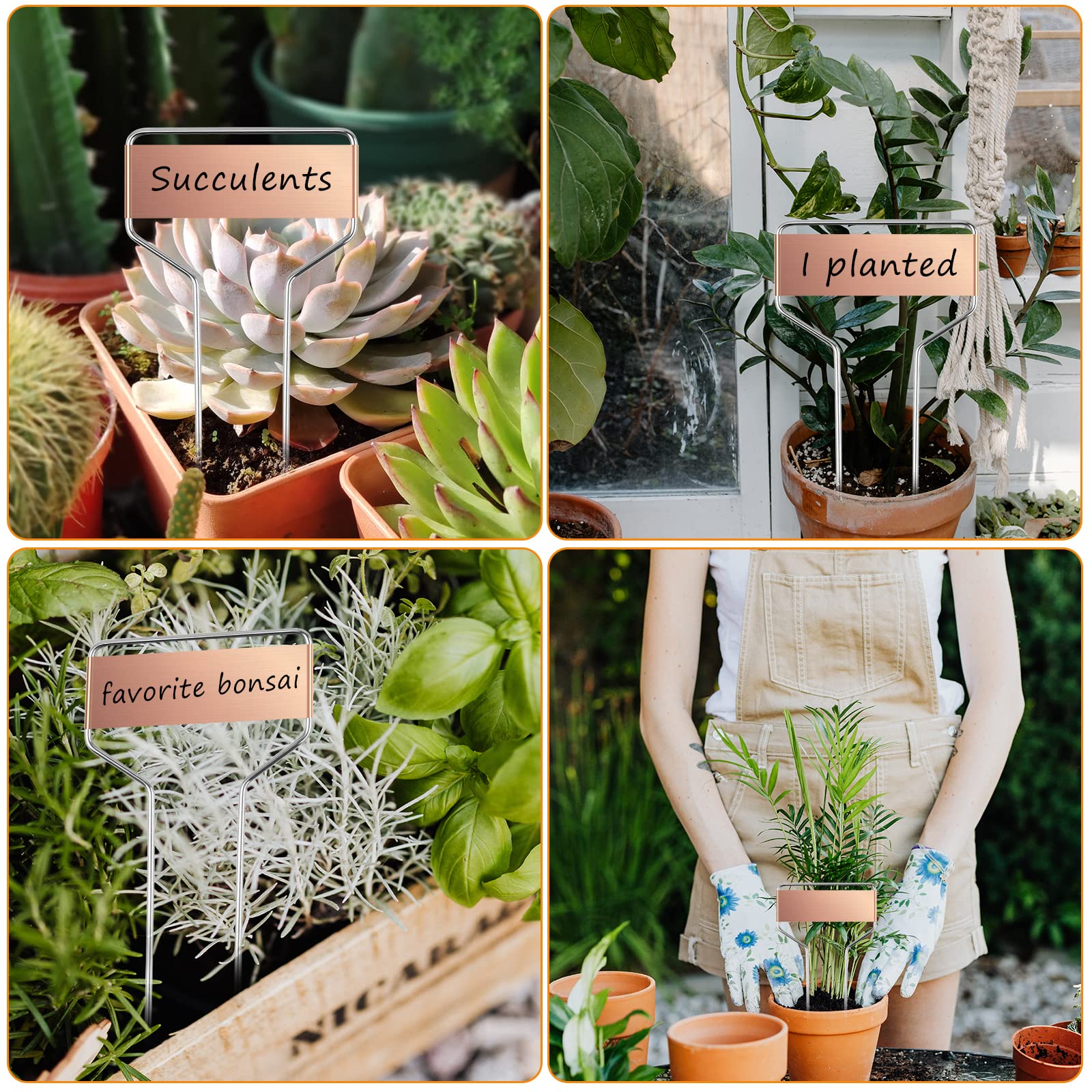 30 étiquettes Métal Jardin - Marqueurs Plantes Réutilisables 10cm/15cm - Résistant Intempéries