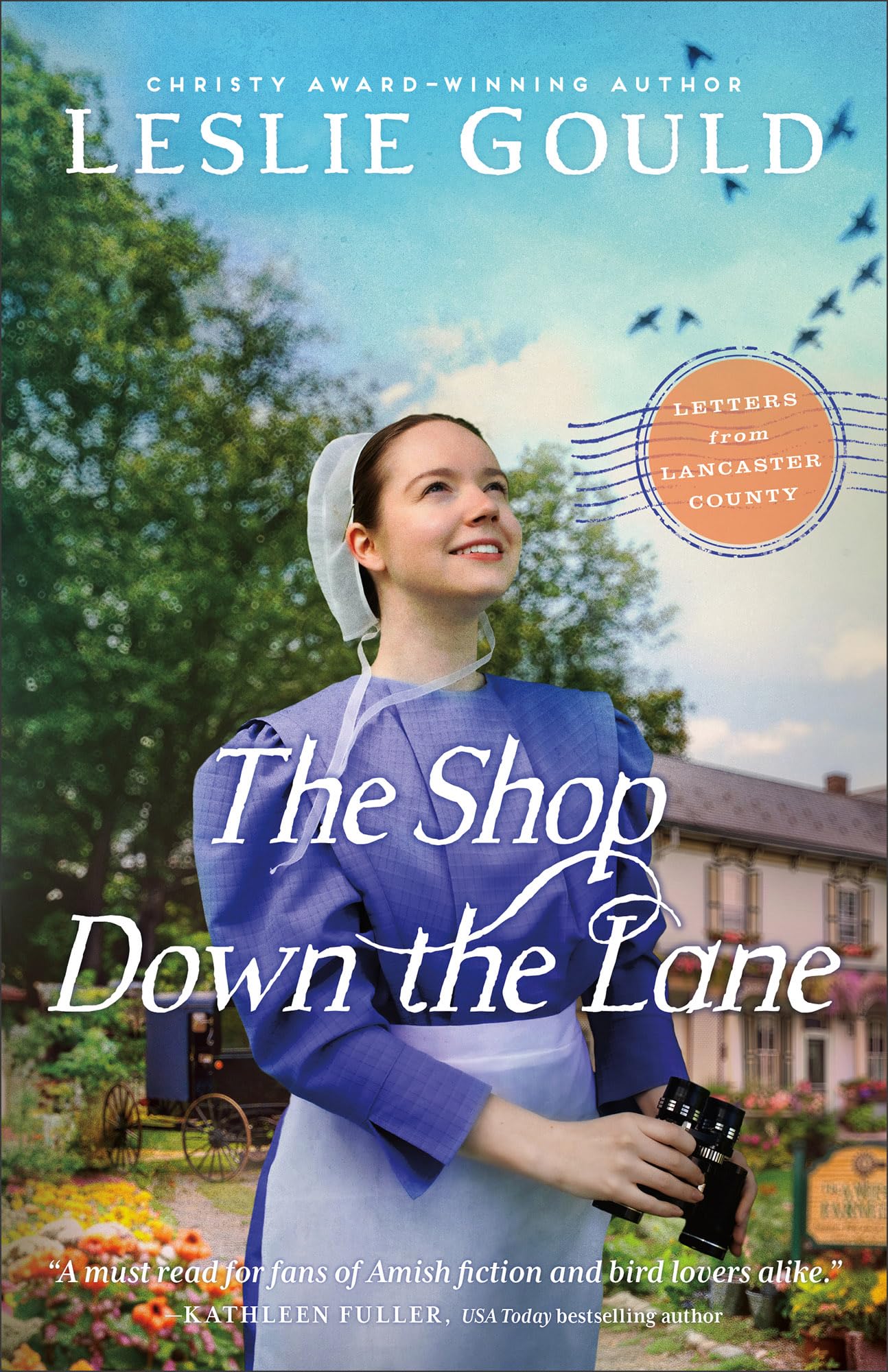 The Shop Down the Lane: (A Sweet Contemporary Amish Letter Writing Enemies to Lovers Romance) (Letters from Lancaster County)