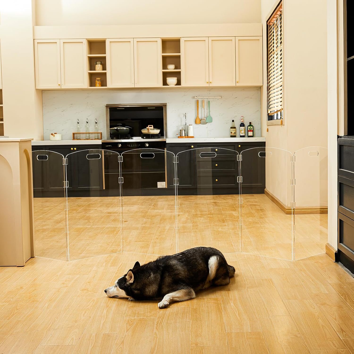 Modern Frame Clear Acrylic Freestanding Dog Gate - 32" Tall Extra-Wide Folding 6-Panel Pet Barrier for Doorways, Stairs & Large Openings, Indoor Fence for Small to Large Dogs & Cats 32" Height-6 Panel