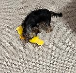 Review Image by Janet Eriksson Janet Eriksson