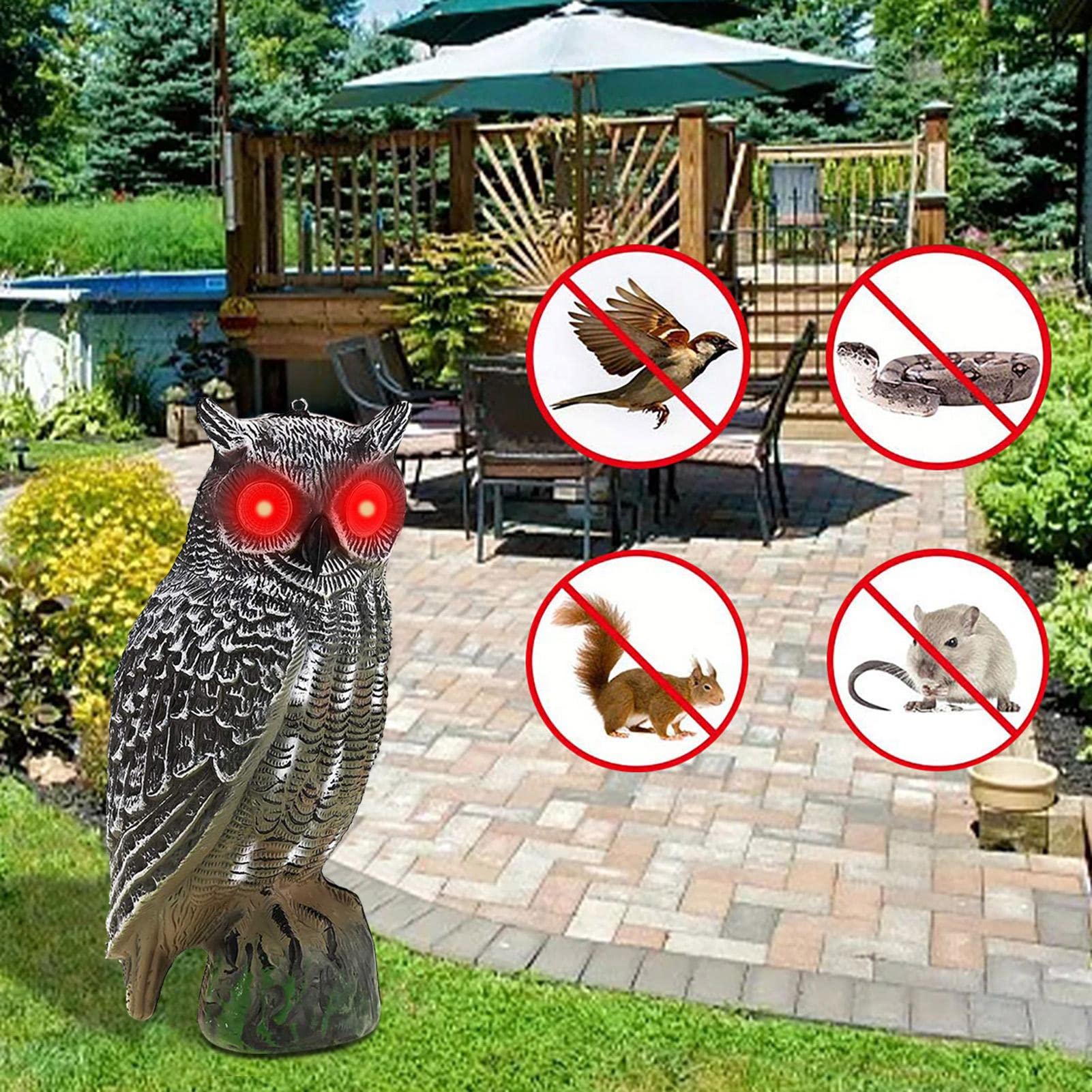 Faux Hibou, Gardez Les Oiseaux À L'écart, Protecteurs Jardin Leurre D