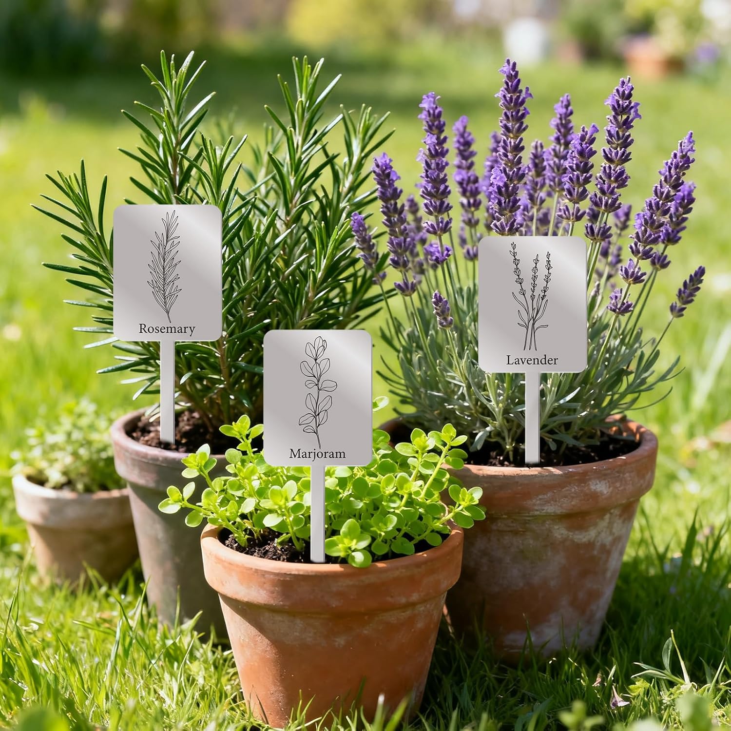 Silkfly 24 Pcs Metal Herb Label Signs 12 Style Herbs Garden Markers Waterproof Label Stakes Reusable Garden Plant Tags with Name for Indoor Outdoor Nursery Seed Flowerpot Potted Plant Flower - Image 5