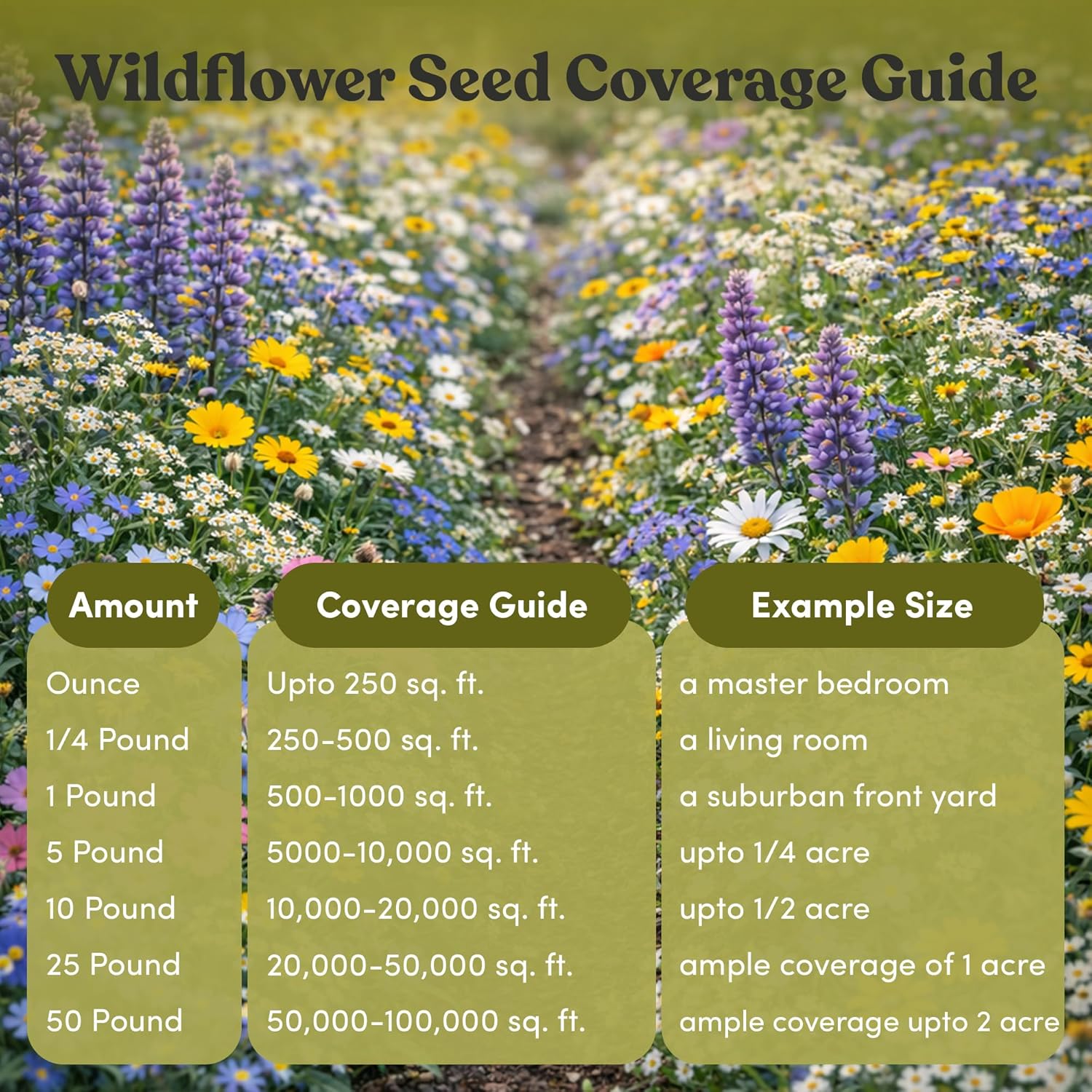 Geva Grow Northwest Wildflower Seeds Regional Mix - Organic, Non-GMO - 100% Pure Seed - 20 Different Wildflowers Seeds of Annual and Perennial, 1 LB Tub