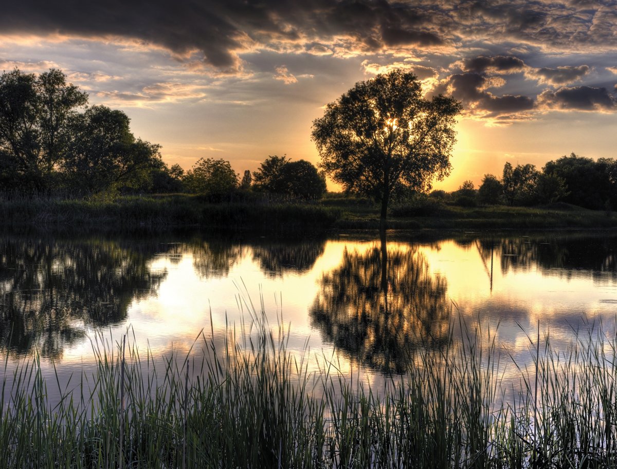 JP London PMUR2020 Peel and Stick Removable Wall Decal Sticker Mural, Forgotten Pond Dusk Duck Hunter, 4 x 3-Feet