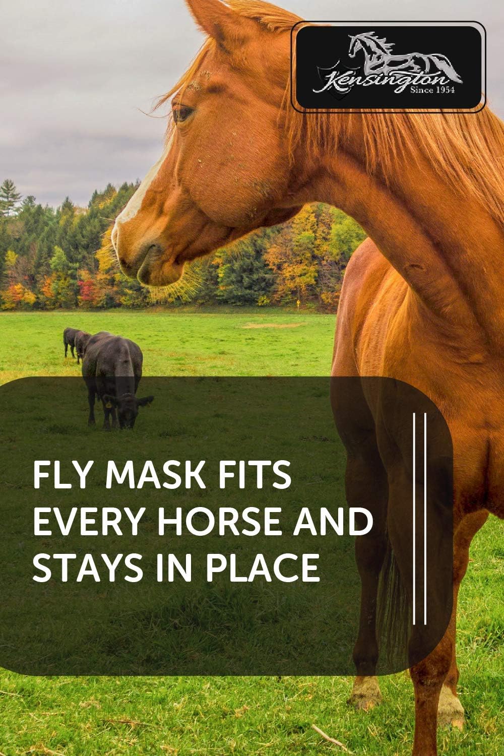 Kensington Fly Mask with Fleece Trim for Horses — Protects Face and Eyes Helps Block Sun Rays While Allowing Full Visibility — Breathable and Non Heat Transferring (P-Pony, 2017 - Lavender Mint)