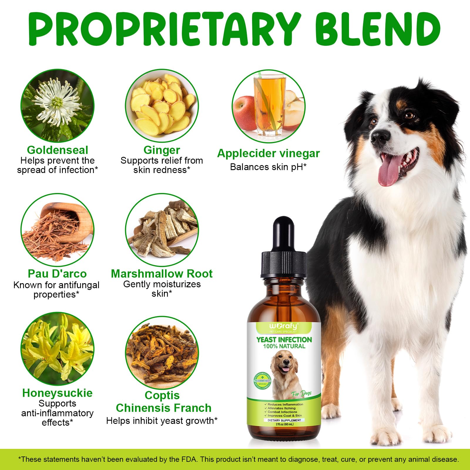 Gocce per Infezioni da Lieviti per Cani, Nelle Orecchie e Sulla Pelle - Sollievo da Prurito, Arrossamento e Odore, Supporta la Salute Generale Della Pelle e del Mantello, 60ml