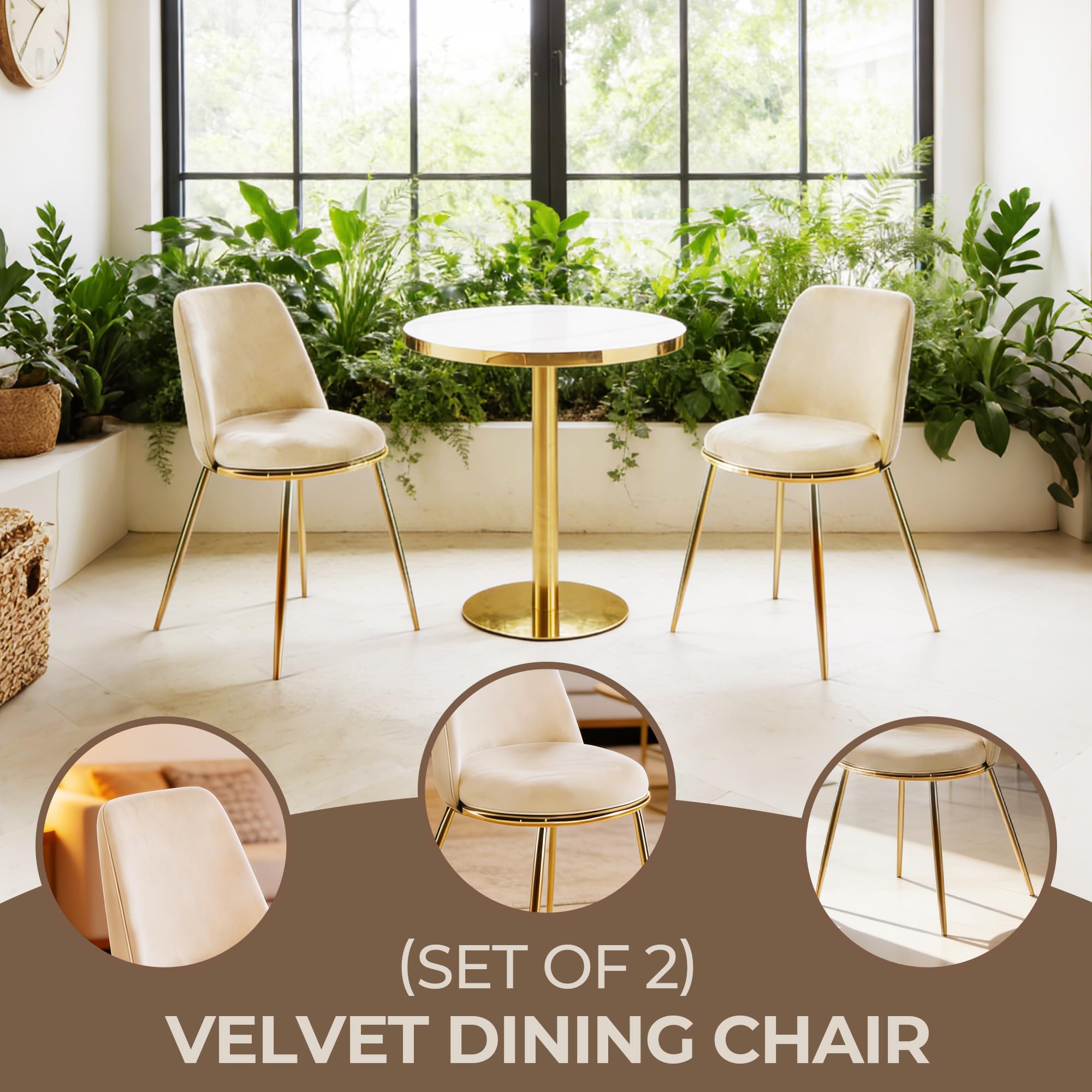 Set di 2 sedie per sala da pranzo, colore bianco crema, imbottitura in velluto, gambe in metallo dorato