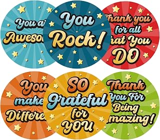Anwyll Kudos Appreciation Thank You Stickers,120Pcs 2Inch Thank You for All You Do Sticker,You are Awesome Stickers,so Grateful for You Sticker for Teacher Employee Nurse Volunteer Student(6 Design)