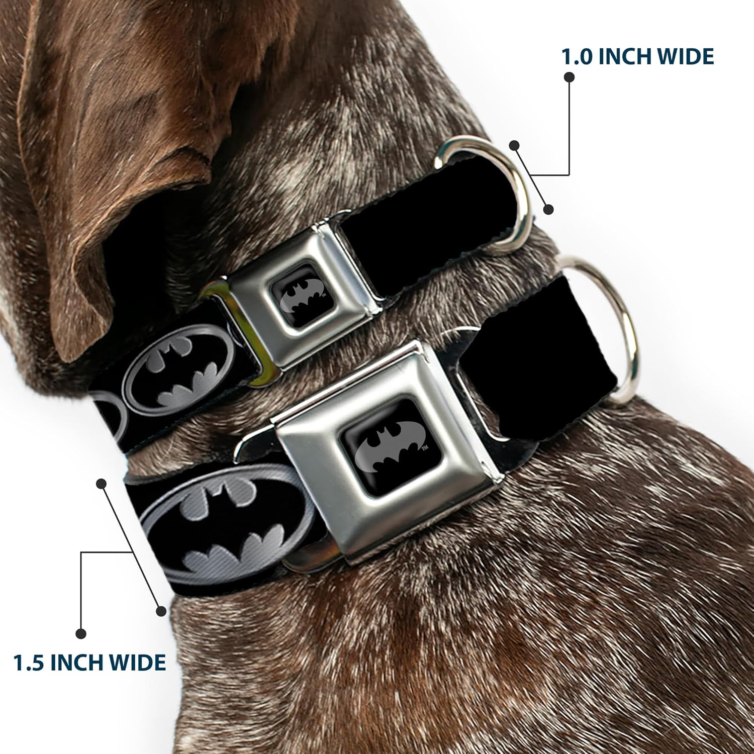 Buckle-Down Seatbelt Buckle Dog Collar - Batman Shield Black/Silver - 1" Wide - Fits 9-15" Neck - Small