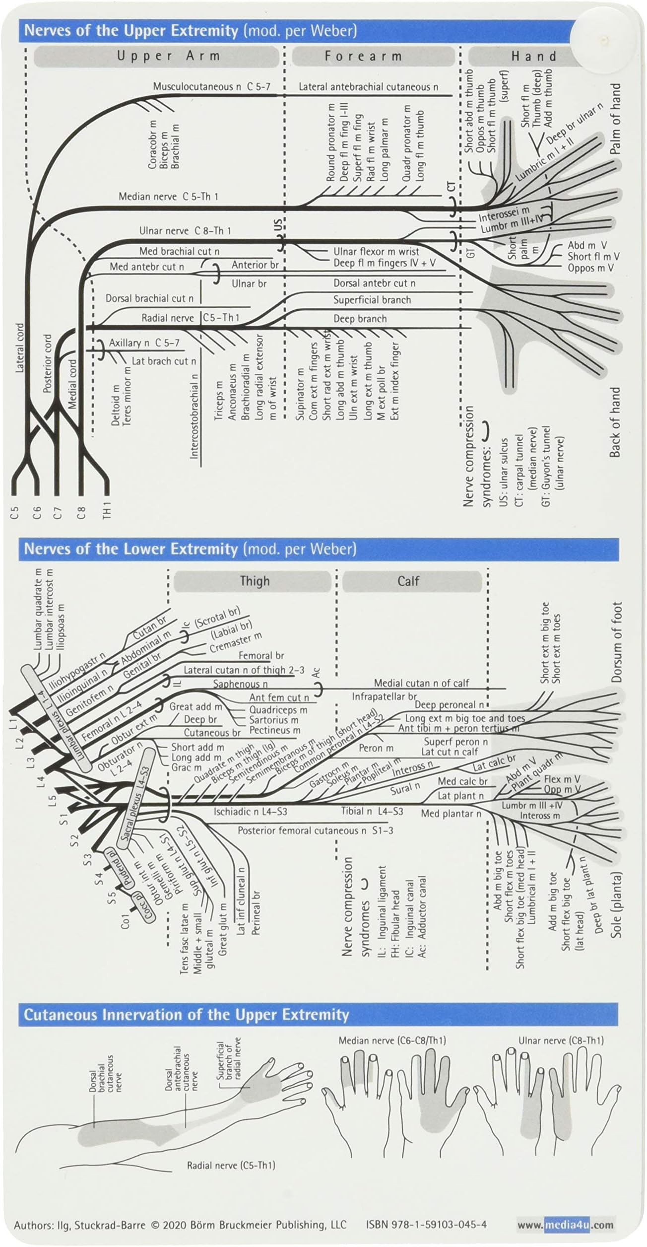 Neurology Pocketcard Set