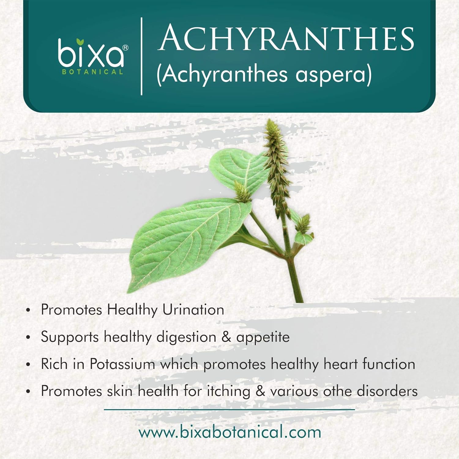 bixa BOTANICAL Achyranthes Aspera Powder | Apamarga ǀ Ayurvedic Herbal Supplement | 200 Grams / 7 OZ | Gluten Free, Non-GMO, Steam Treated, Vegan, 100% Pure.
