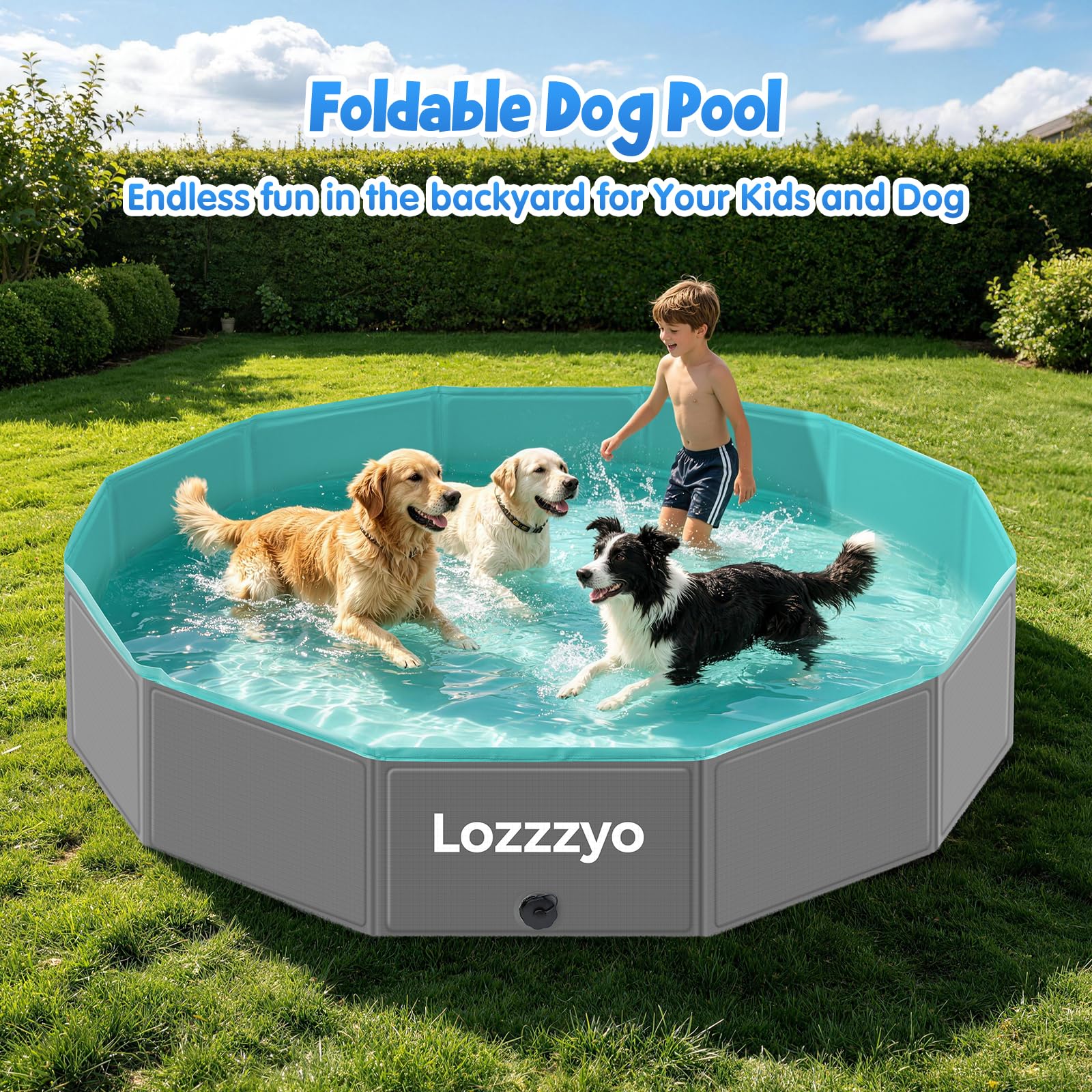 Piscina per Cani e Bambini, Piscina da Giardino Estiva Robusta Antiscivolo, Vasca da Bagno Portatile per Animali Domestici, Piscina Bambini per Giardino Spiaggia Camping (160 * 30CM)