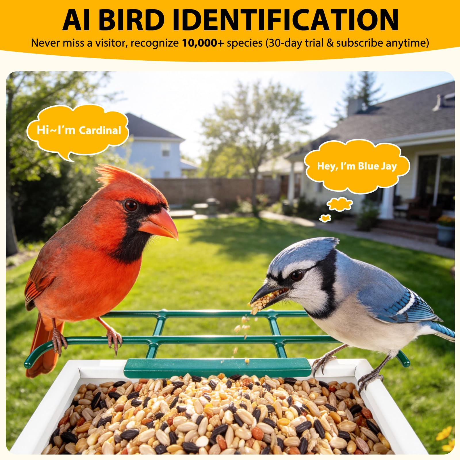 BOLITE Vogelfutterstation mit Kamera, solarbetrieben, 2,5 K HD, intelligente Vogelfutterspender für den Außenbereich, KI-Identifizierung von Arten, automatische Aufzeichnung von Videos im Hinterhof