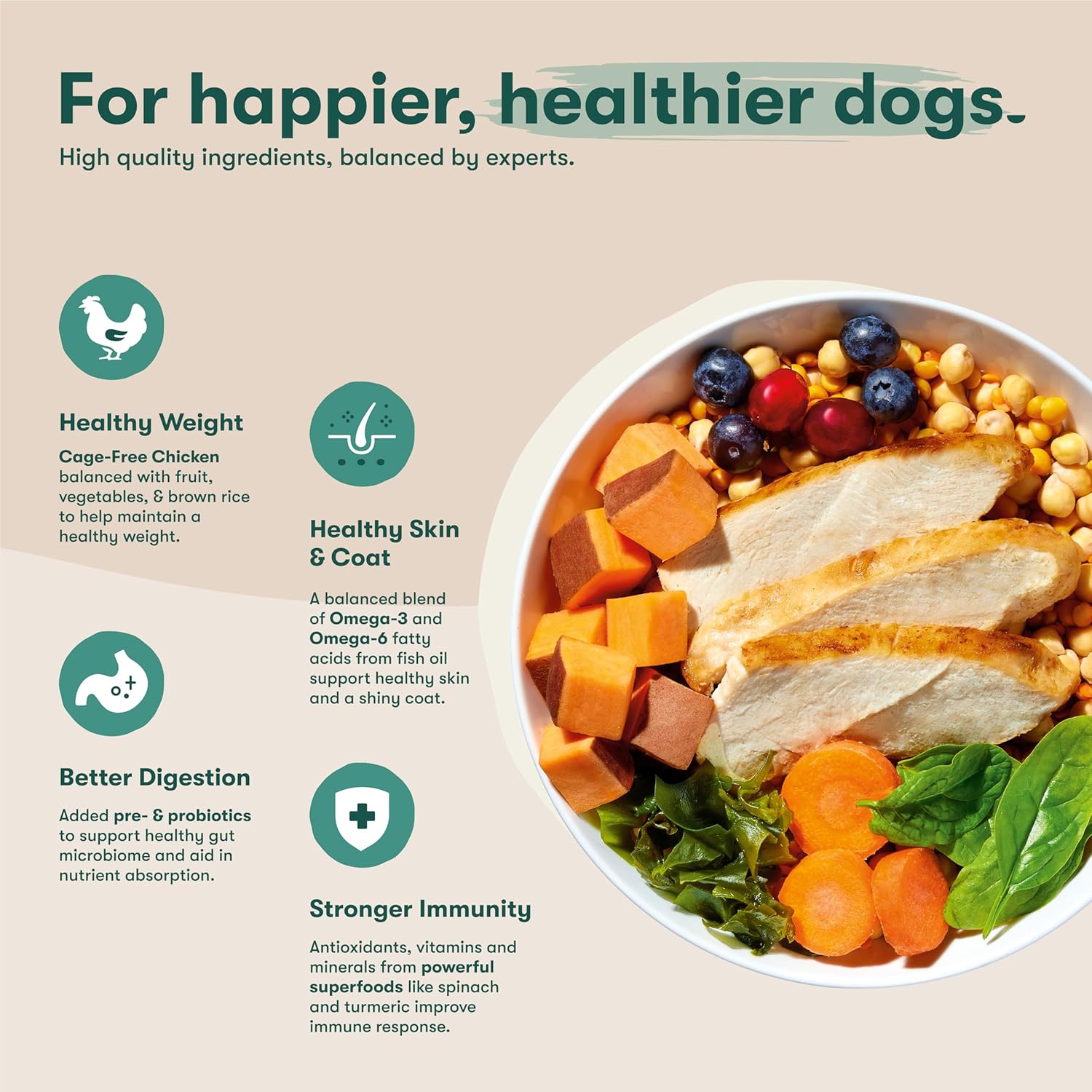 Jinx Premium Grain-Free Dry Dog Food, for All Lifestages - Real Chicken, Sweet Potato & Carrot Kibble with Superfoods for Immune Support & Probiotics for Digestive Support - No Fillers - 11.5lb