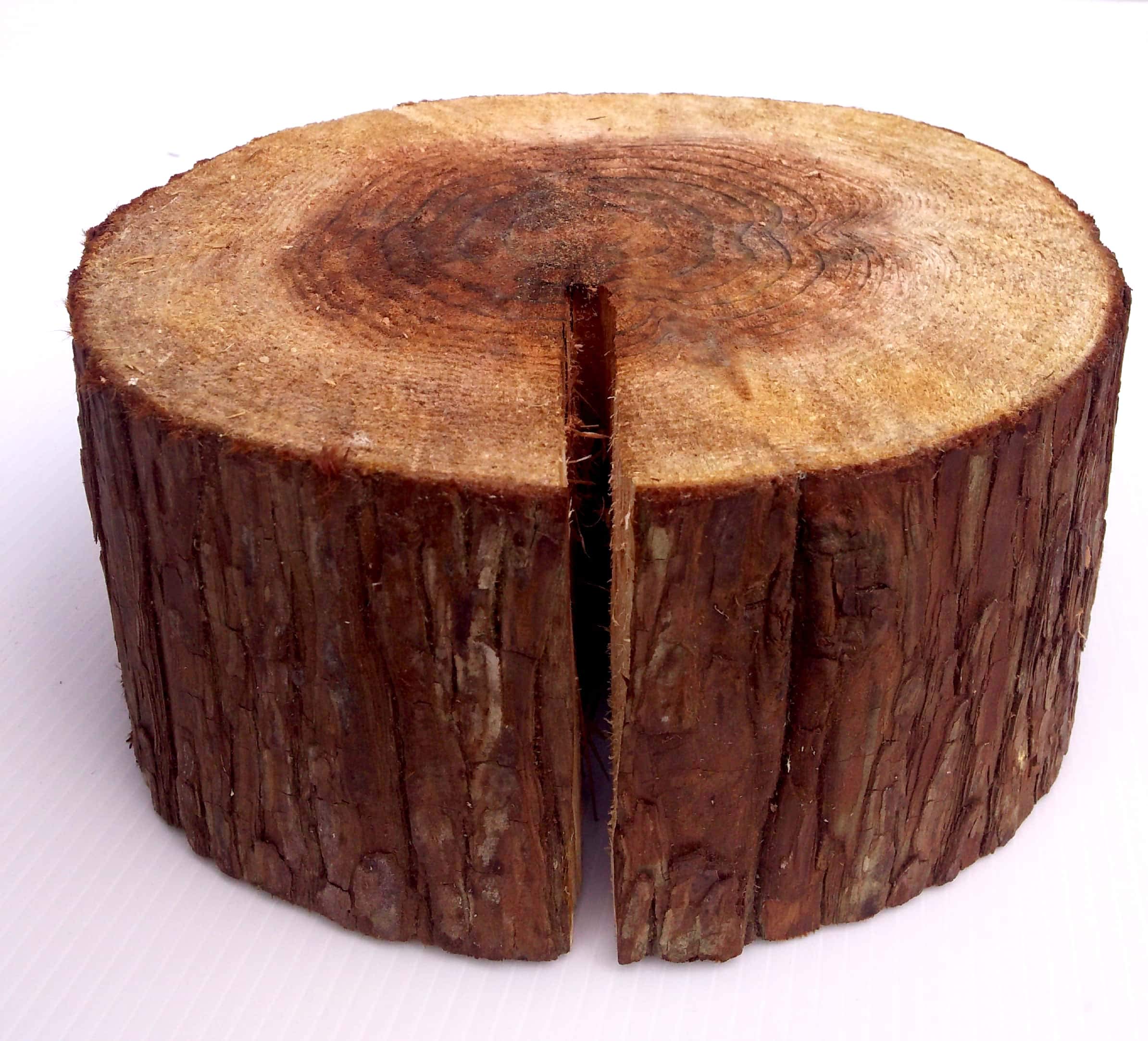 Amazon.co.jp: デルフリキャンプ 切り株作業台 直径23㎝・高さ10