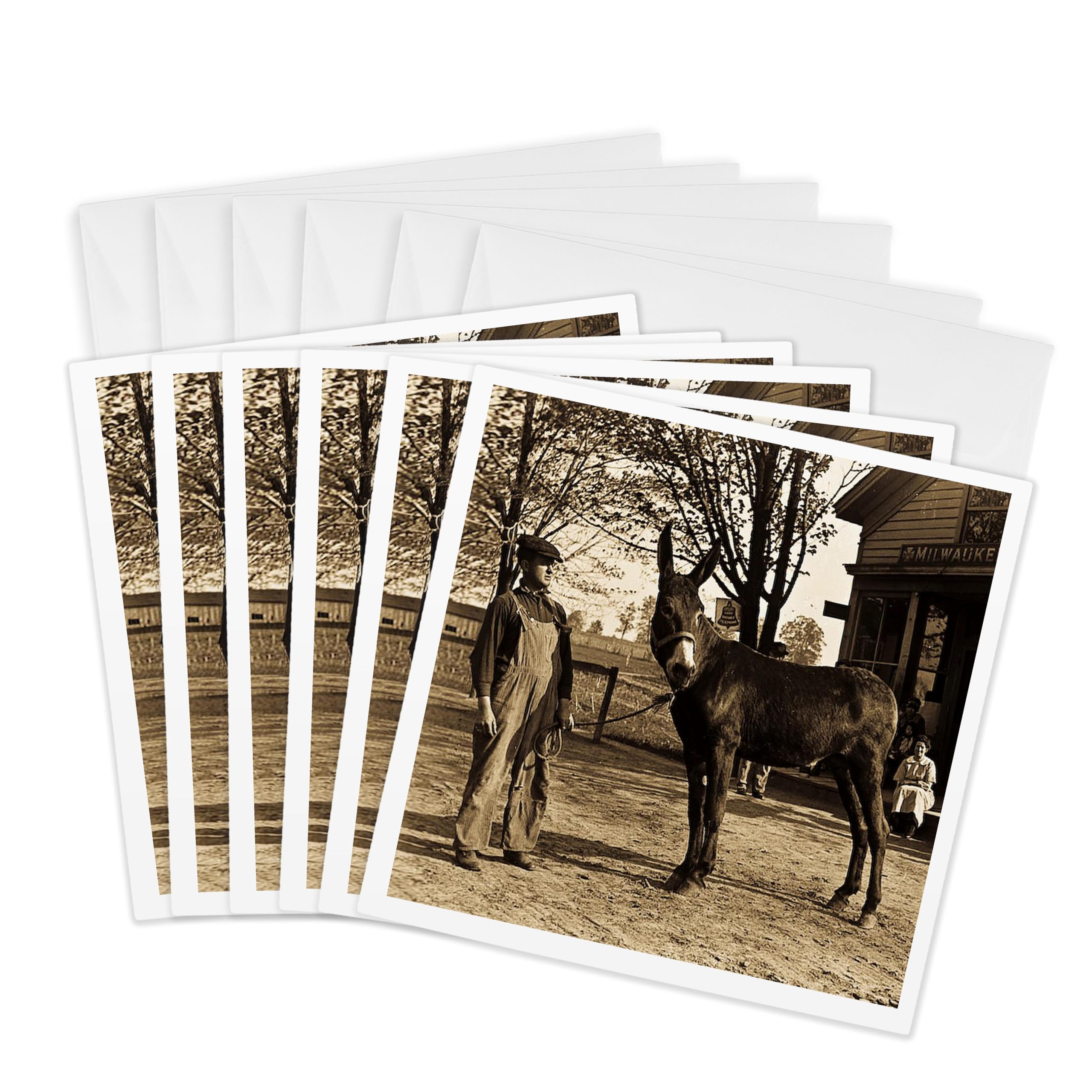3Drose 1900 Man and a Mule in Milwaukee Sepia - Greeting Cards, 6 by 6-inches, Set of 6 (gc_16065_1)