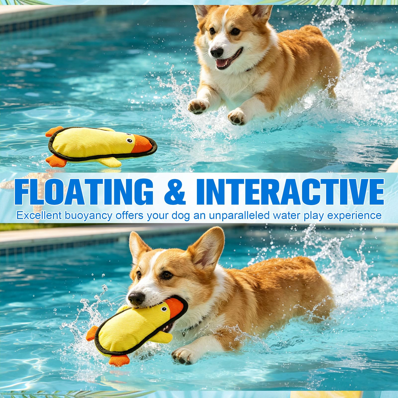 EXPAWLORER Lot de 3 jouets flottants pour chien pour piscine et été, en tissu Oxford doux et durable, jouets à mâcher interactifs avec plis pour chiens de petite, moyenne et grande taille, hippopotame