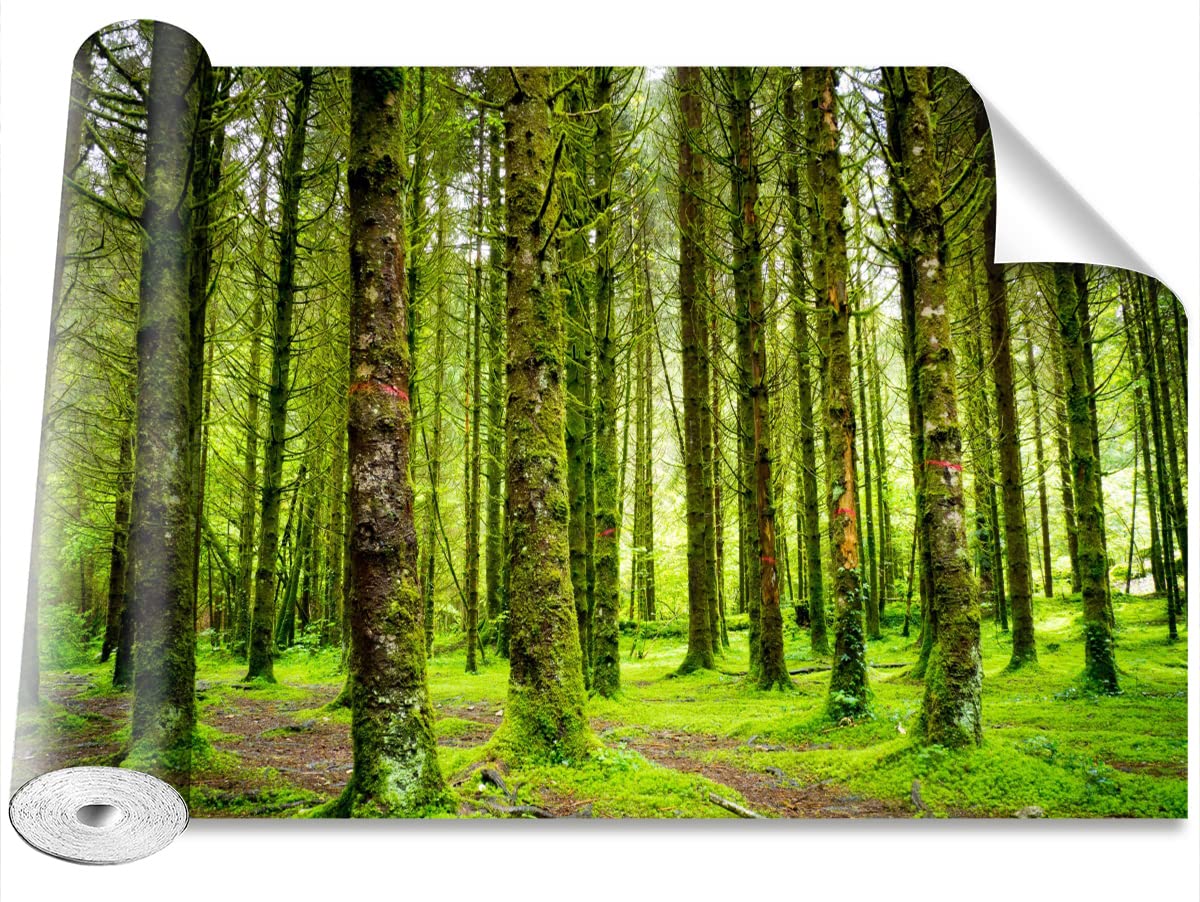 Stickers muraux des arbres Tulup pour créer un salon nature et cosy à la maison