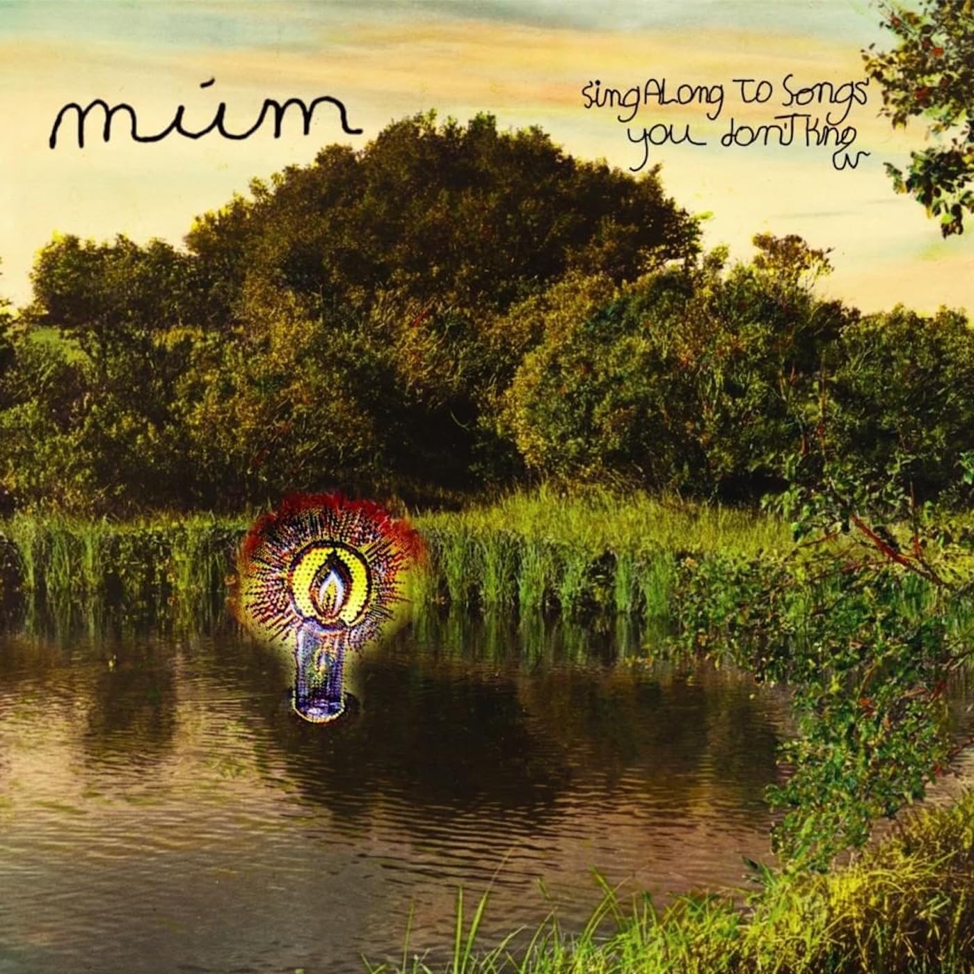 Sing Along To Songs You Don't Know [Audio CD] MUM