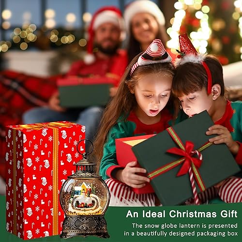 Miniatura 6 de Globos de nieve AULT25006-13