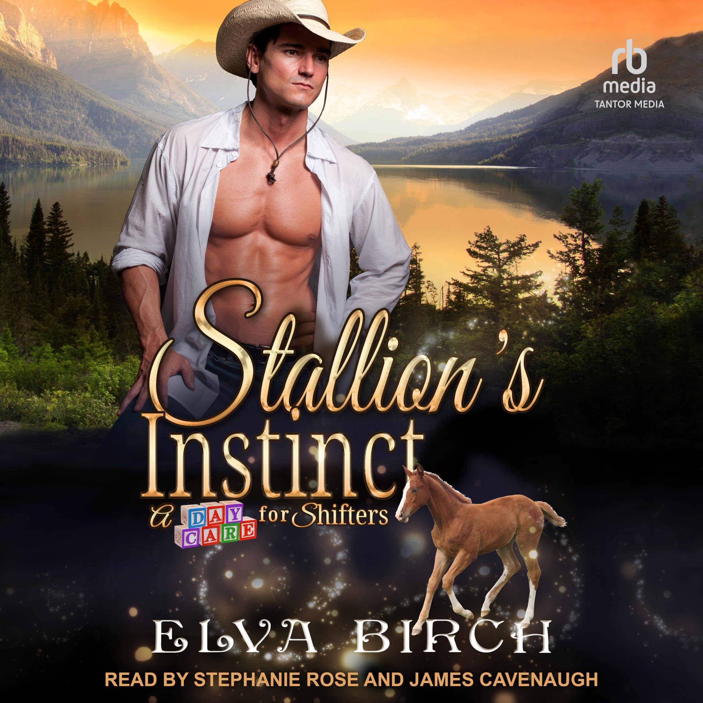 Cover art for Stallion’s Instinct