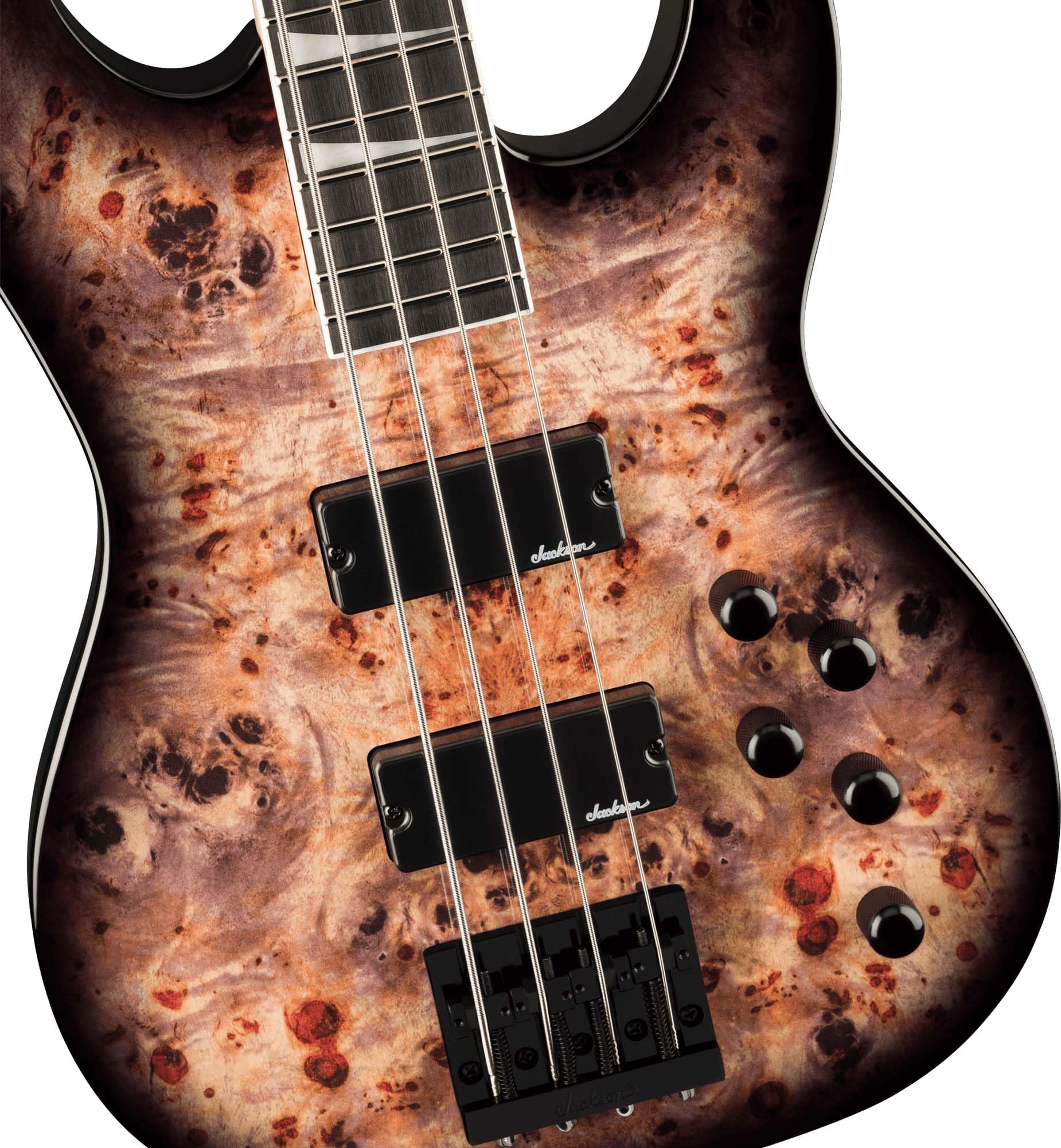 Amazon.com: Jackson JS Series Concert Bass CB JS3P Transparent