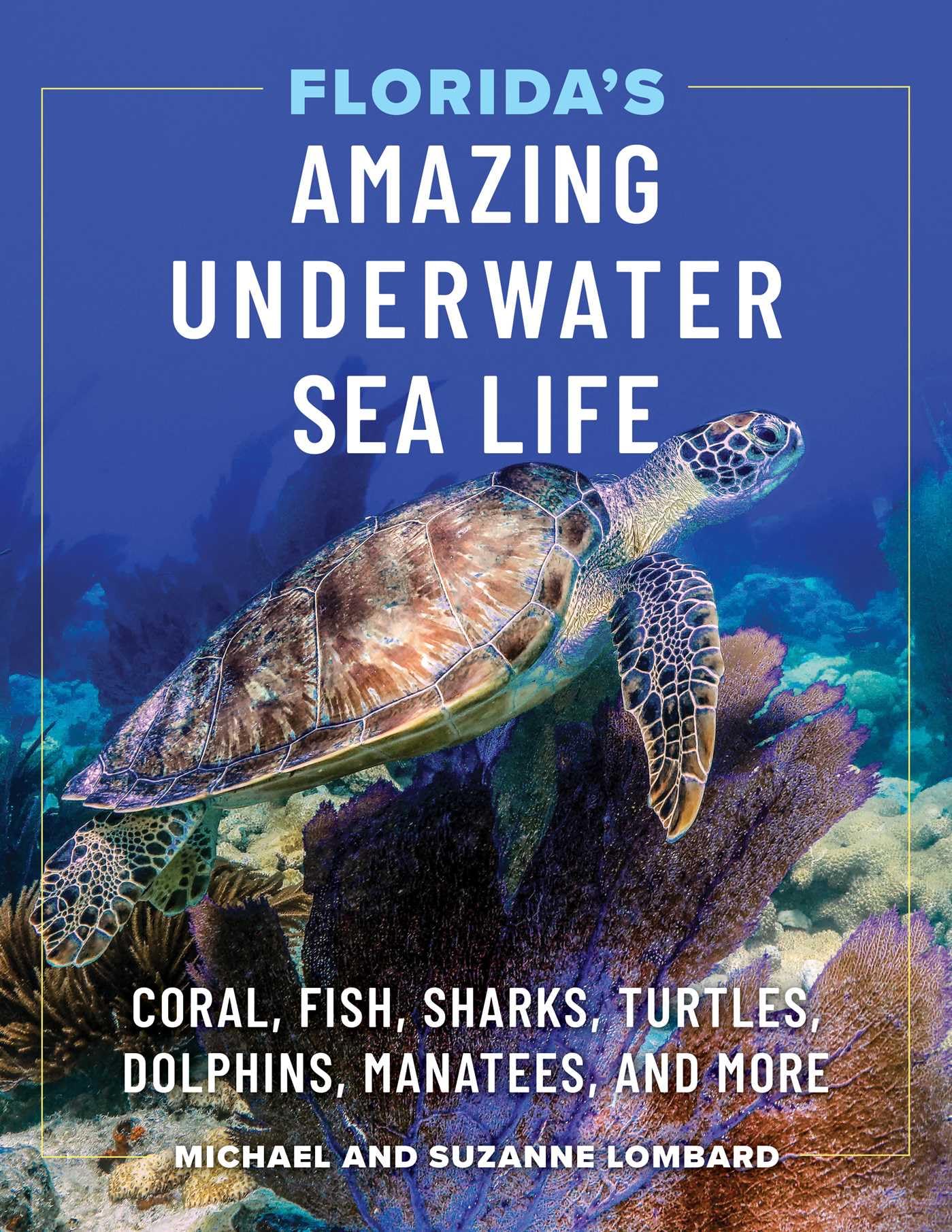 Florida's Amazing Underwater Sea Life: Coral, Fish, Sharks, Turtles, Dolphins, Manatees, and More