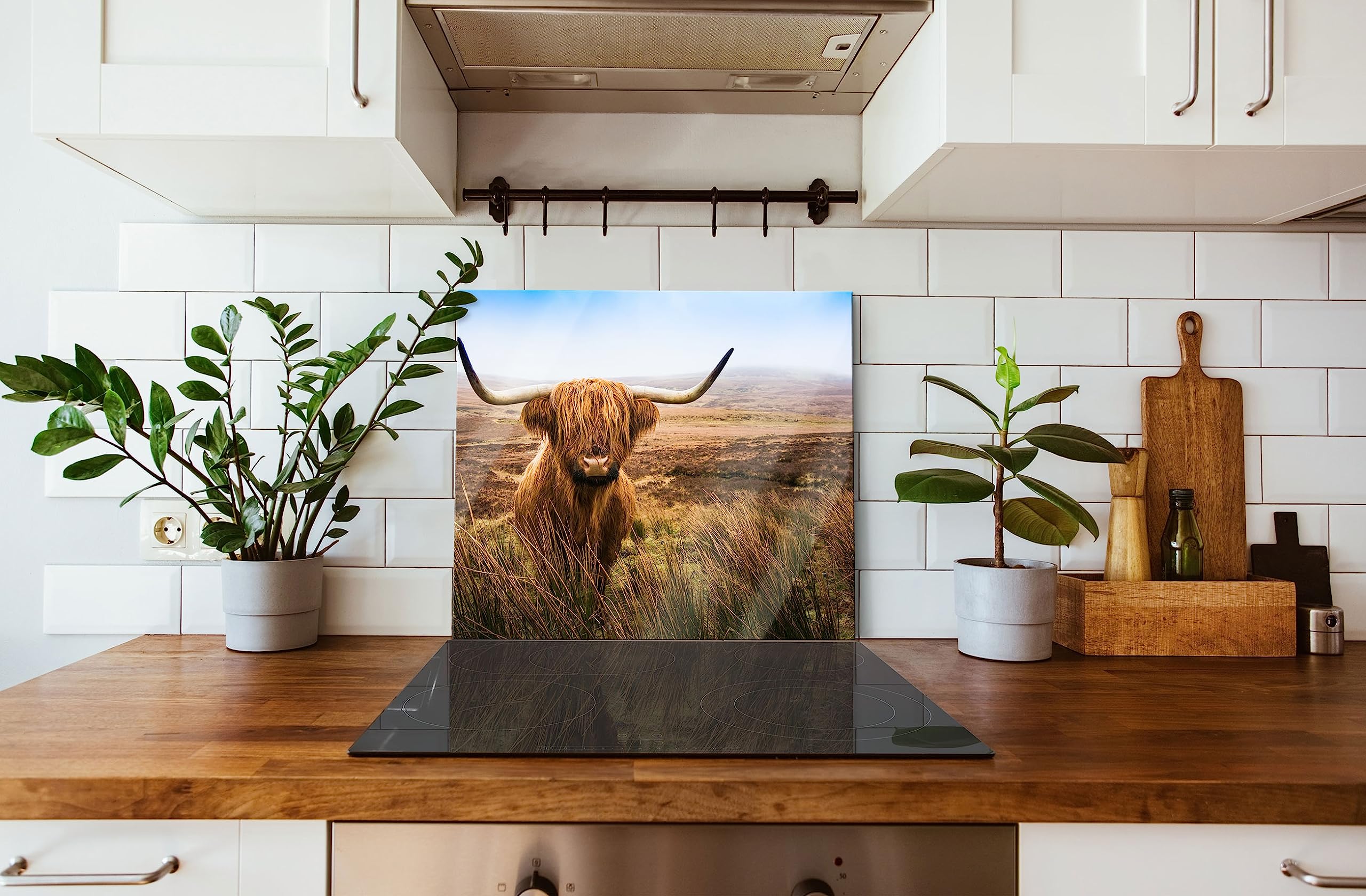 Highland Rind mit großen Hörnern Steppe Herdabdeckplatte & Spritzschutz aus Echtglas | Für Herd-Kochfelder | 60x52 cm
