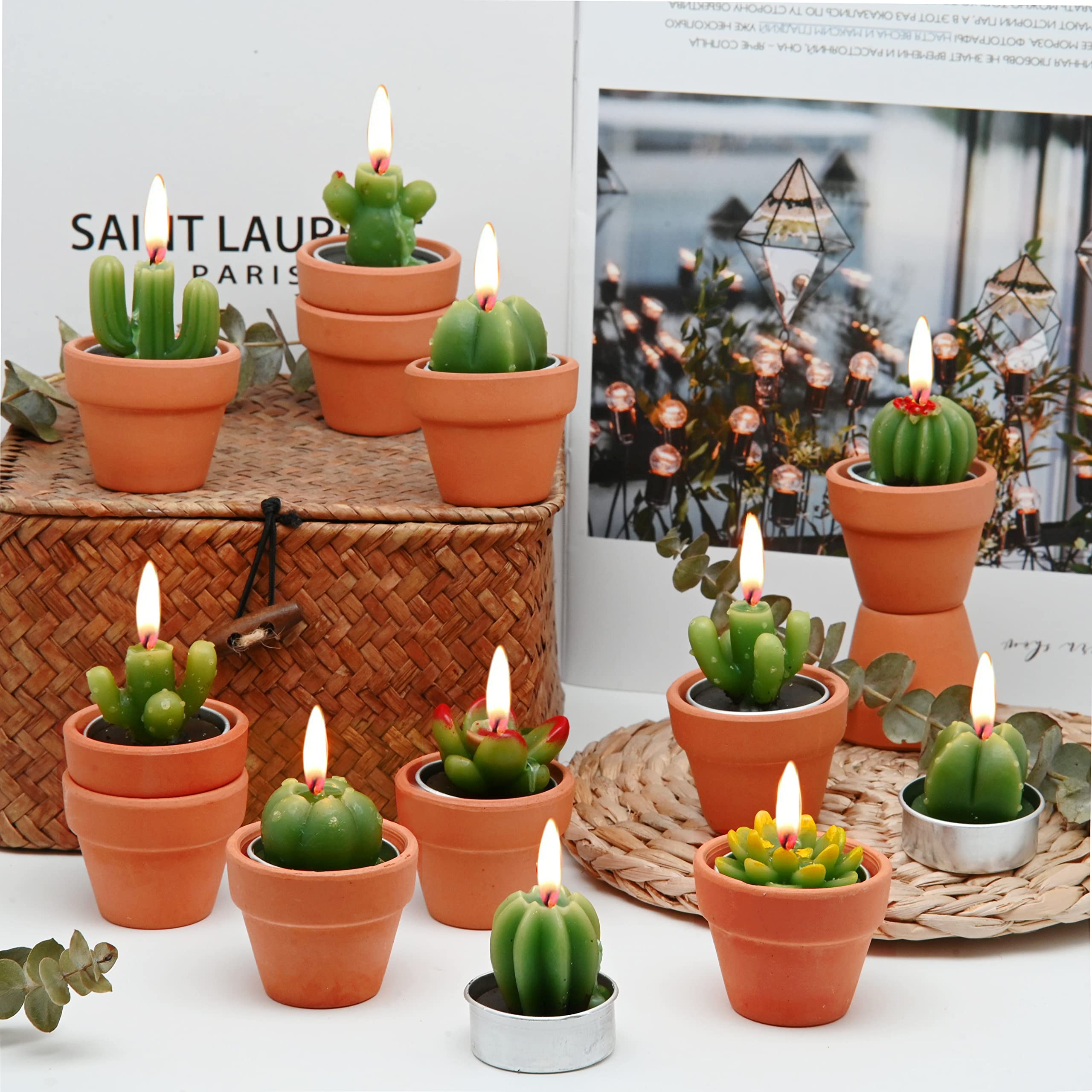 Sukkulenten-Kerzen, Kaktus-Teelicht, Babyparty-Dekoration, fr Partys,  Terrarium, Kakteen : Amazon.de: Kche, Haushalt & Wohnen