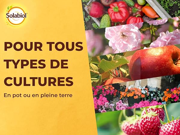 SOLABIOL Engrais Complet Liquide - 1L - Jusqu'à 100L De Solution - Engrais Universel - Tous Types De Cultures - Formulation Equilibrée - Facile A Doser - Utilisable En Agriculture Biologique SOLICOMP1 - 4
