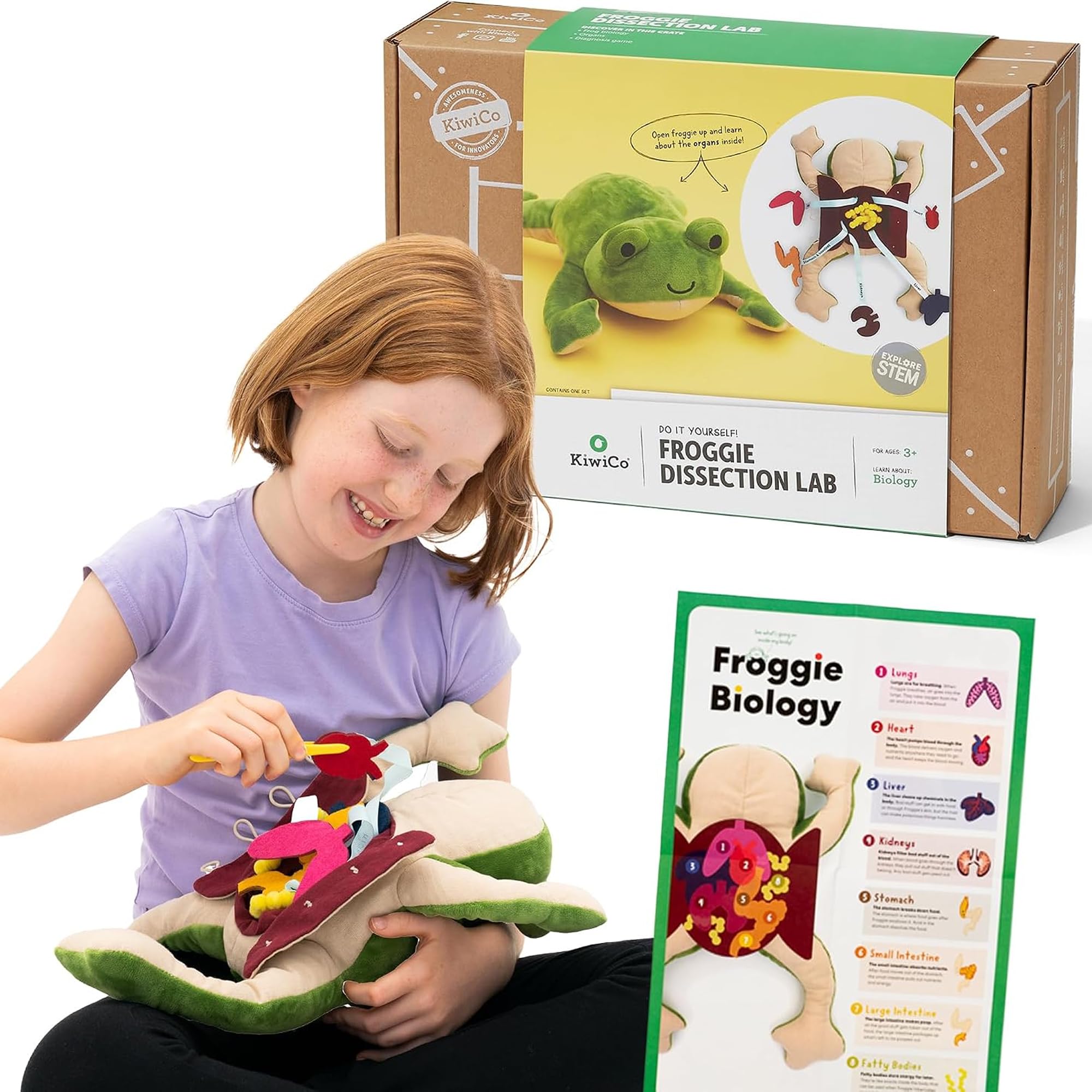 Amazon.com: KiwiCo Froggie Lab Dissection Plush Animal Toy 5-Piece