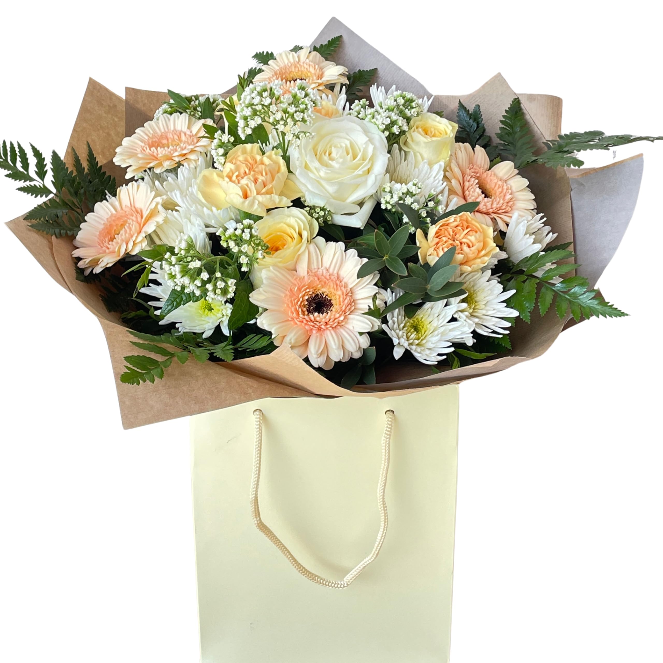 Soft Glow Celebration Blooms Gerbera, Carnation Rose Bouquet, floral Arrangement gift Bag for weddings, Birthdays, Thank you, sympathy